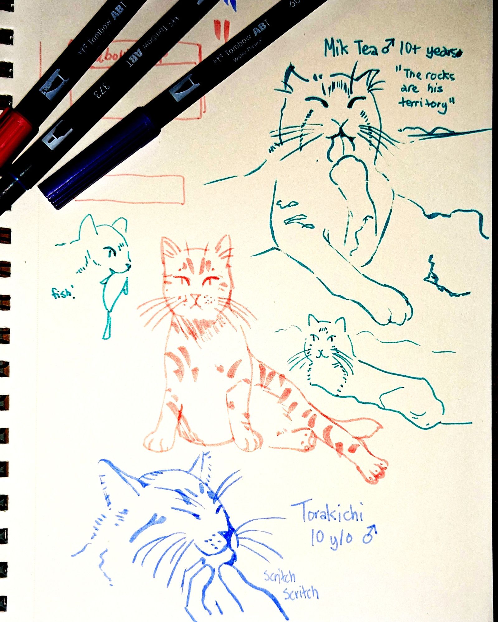 photo: a sketchbook page with an assortment of cat drawings. two of them are lounging peacefully, one of them is receiving scratches under his chin, and one of them is holding a fish in his mouth