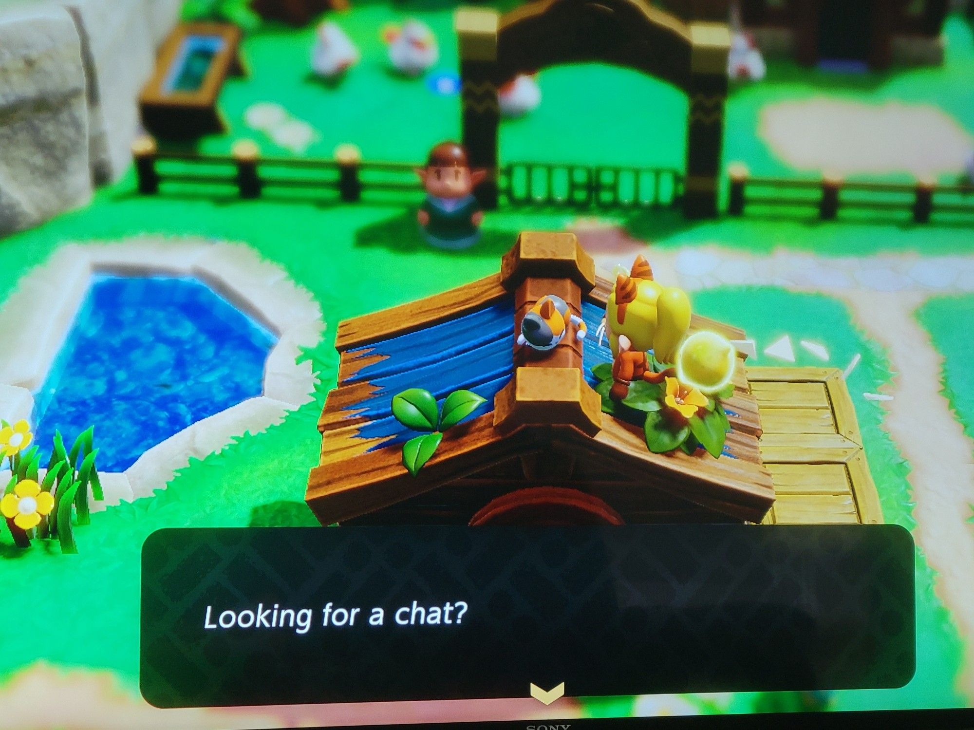 A screenshot of the game The Legend of Zelda: Echos of Wisdom where Princess Zelda, dressed as a cat, speaks to a cat that says, "Looking for a chat?"