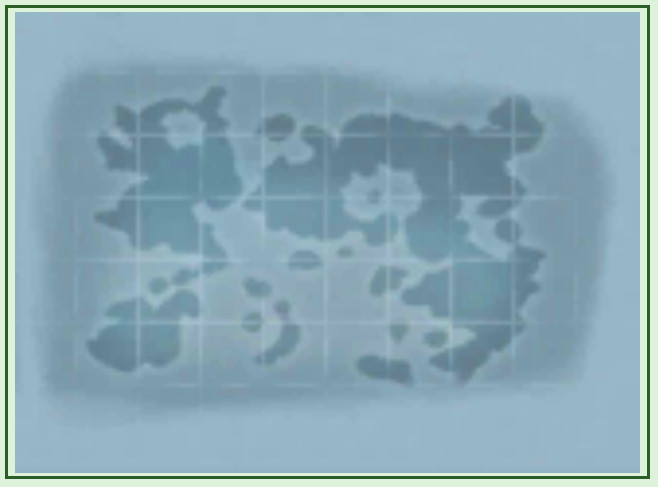 The prototype world map. The continents are closer and more connected, and do not resemble the maps from the previous games as much as the final version does.