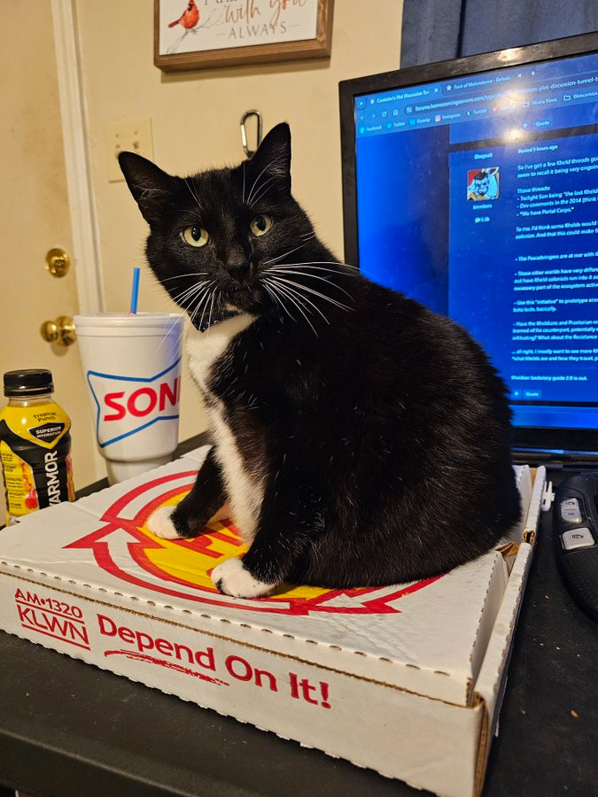 Ka'ra the tuxedo cat sits on a red, yellow, and white pizza box. She's turned her head to look at you intently, almost daring you to ask her to move. Behind her are a couple of beverages. 