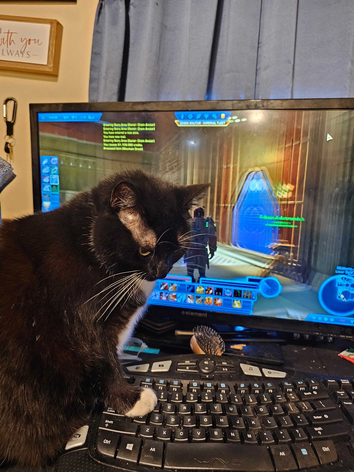 Ka'ra the tuxedo cat sits with one paw on a keyboard, looking back at you grumpily.  The monitor behind her shows Star Wars: The Old Republic, a video game. Is she playing the game?