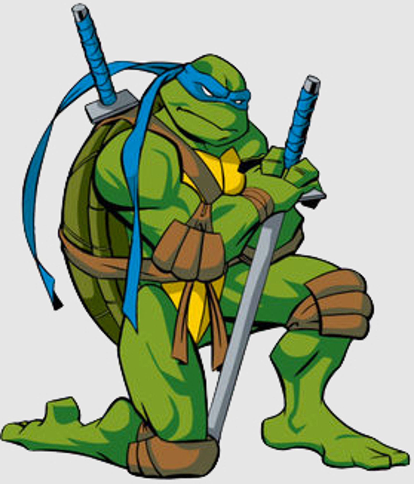 Leo from TMNT is the one who wears blue and has swords and is otherwise a mutant ninja turtle.