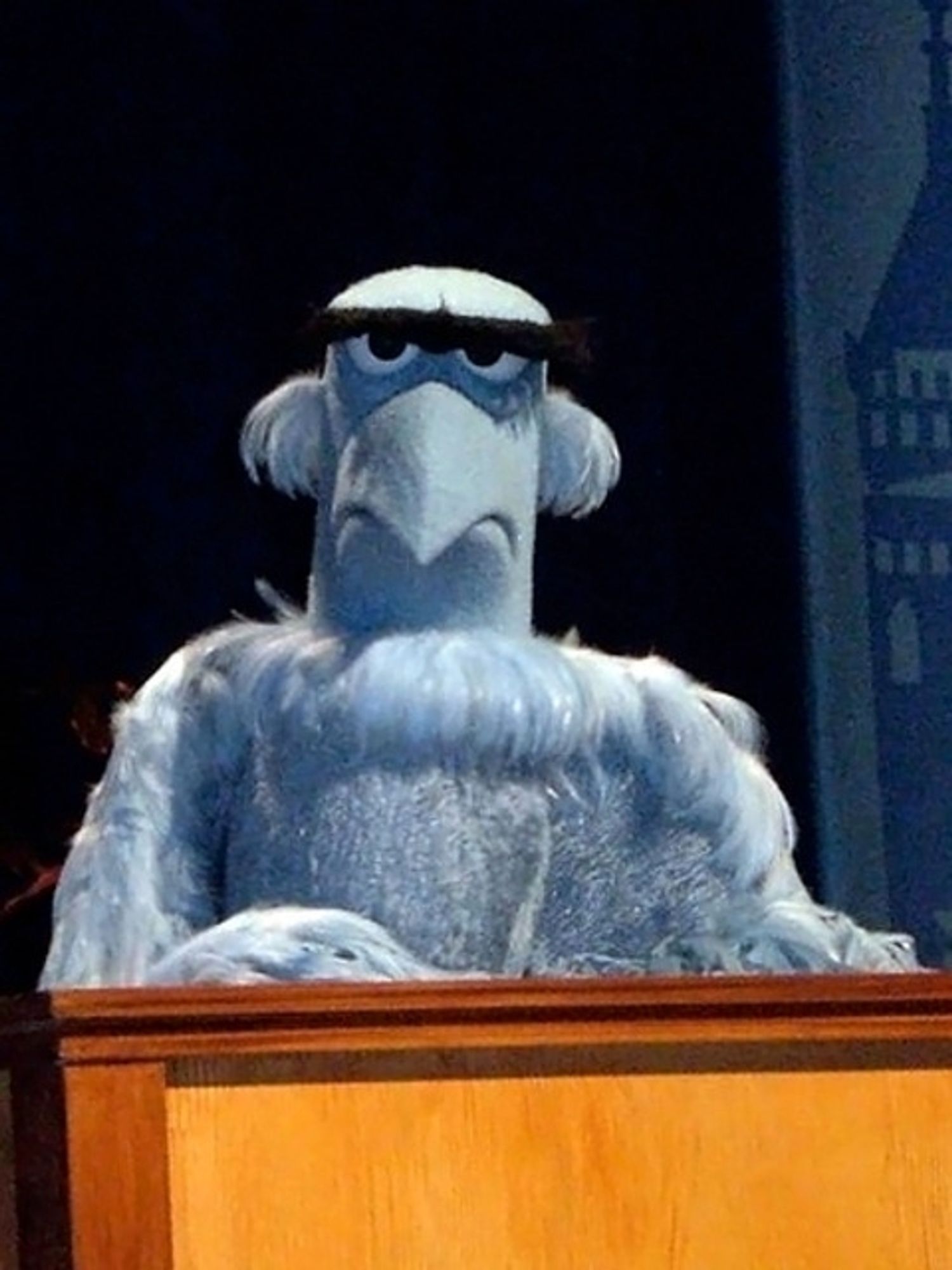 Sam the eagle, a blue Muppet with birdlike features, looking directly at you with a concerned expression