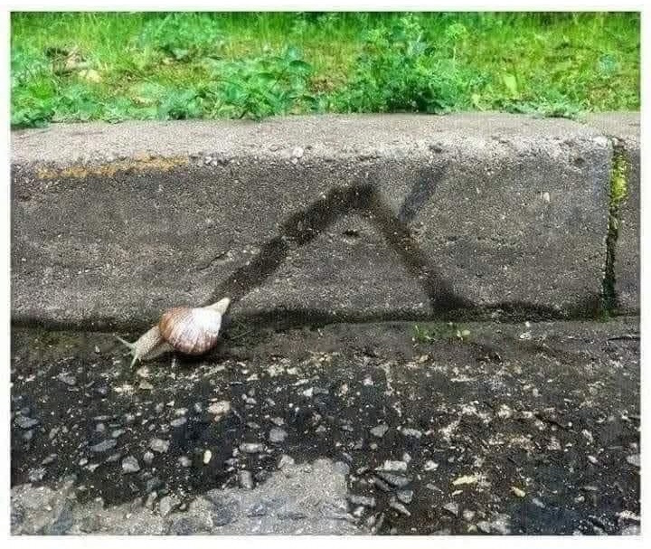 Photo of a snail and its trail: it's climbed up the side of a brick, then made a sharp turn down again.