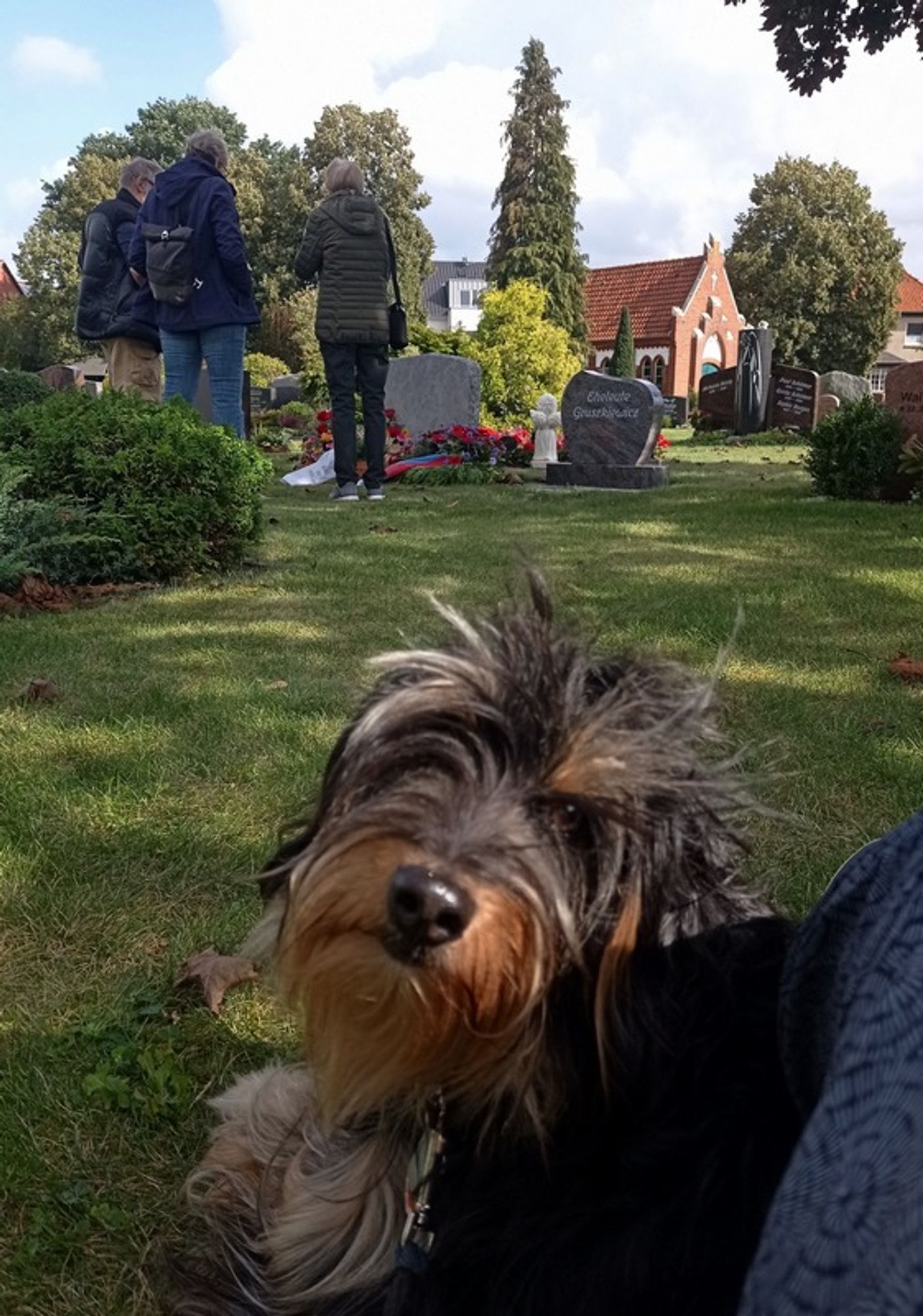 Auf einem Friedhof. Im Hintergrund stehen drei Menschen nebeneinander vor einem Grab, sie sind von hinten zu sehen und blicken hinunter auf frische Blumengestecke und eine Pflanzschale.  Im Vordergrund rechts im Bild bin ich, auf Gras sitzend, zu sehen sind nur meine Beine, an die sich der liegende Nund lehnt: ein Hund mit schwarzem und braunem Fell und Bart. Nund hat den Kopf zu mir gedreht und schaut mich an.