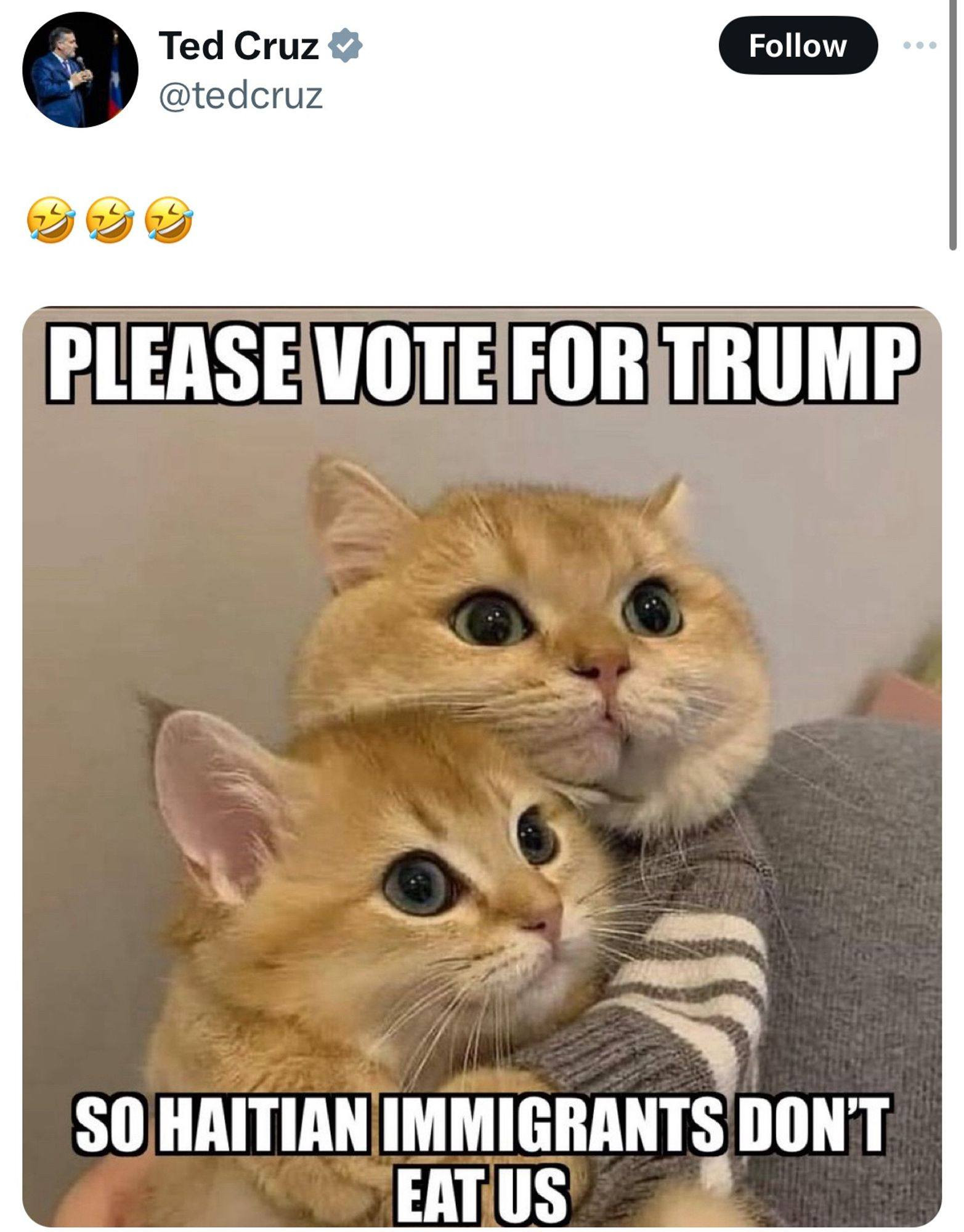 Ted Cruz post on X:  Cute kittens with caption "please vote for Trump so Haitian immigrants don't eat us.