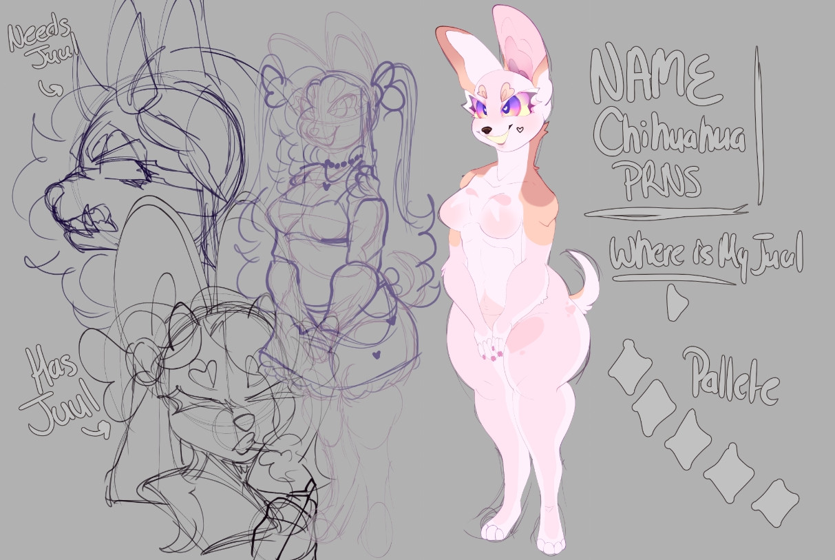 chihuahua adopt design unfinished