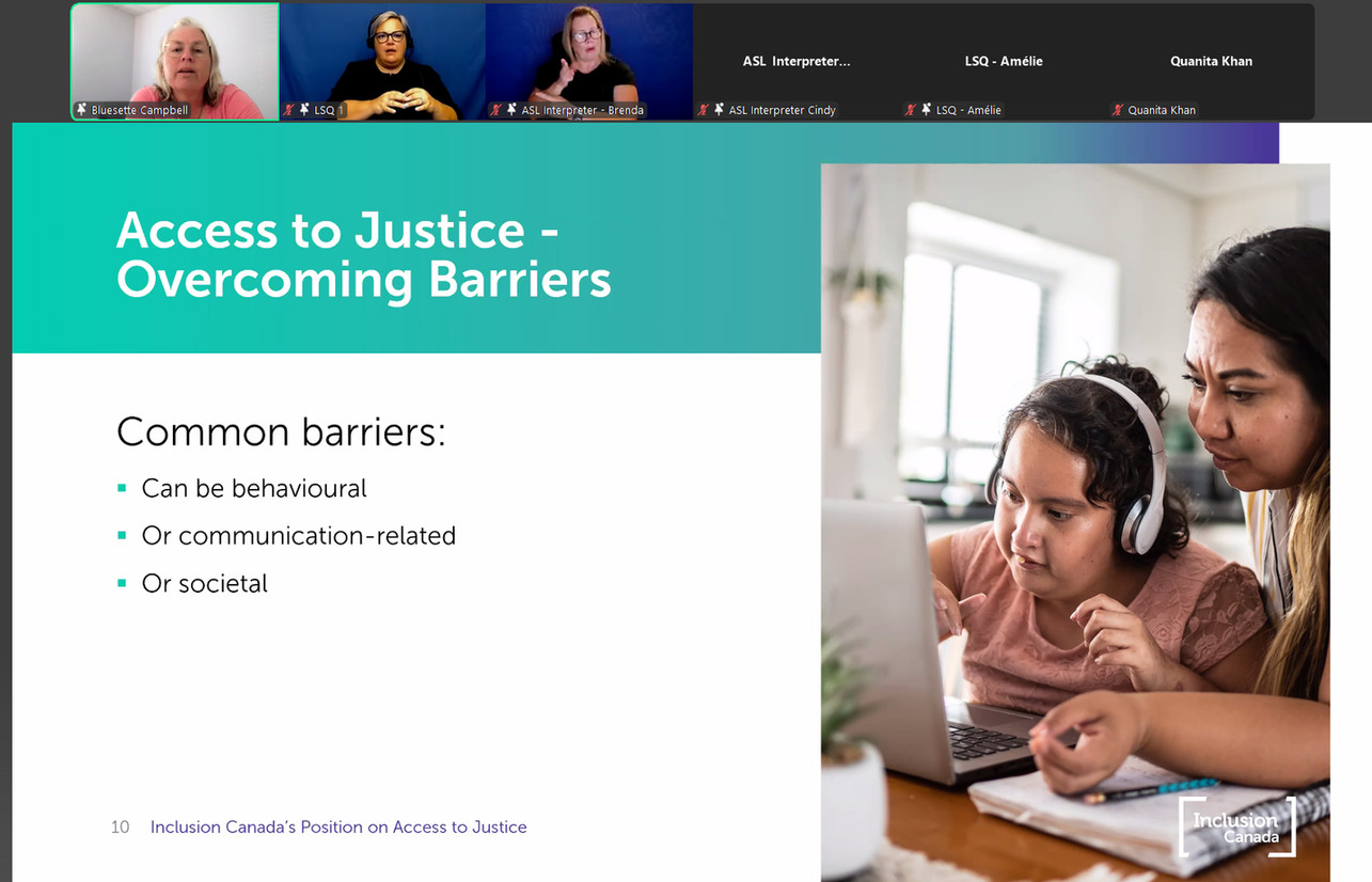 A screenshot of a zoom webinar