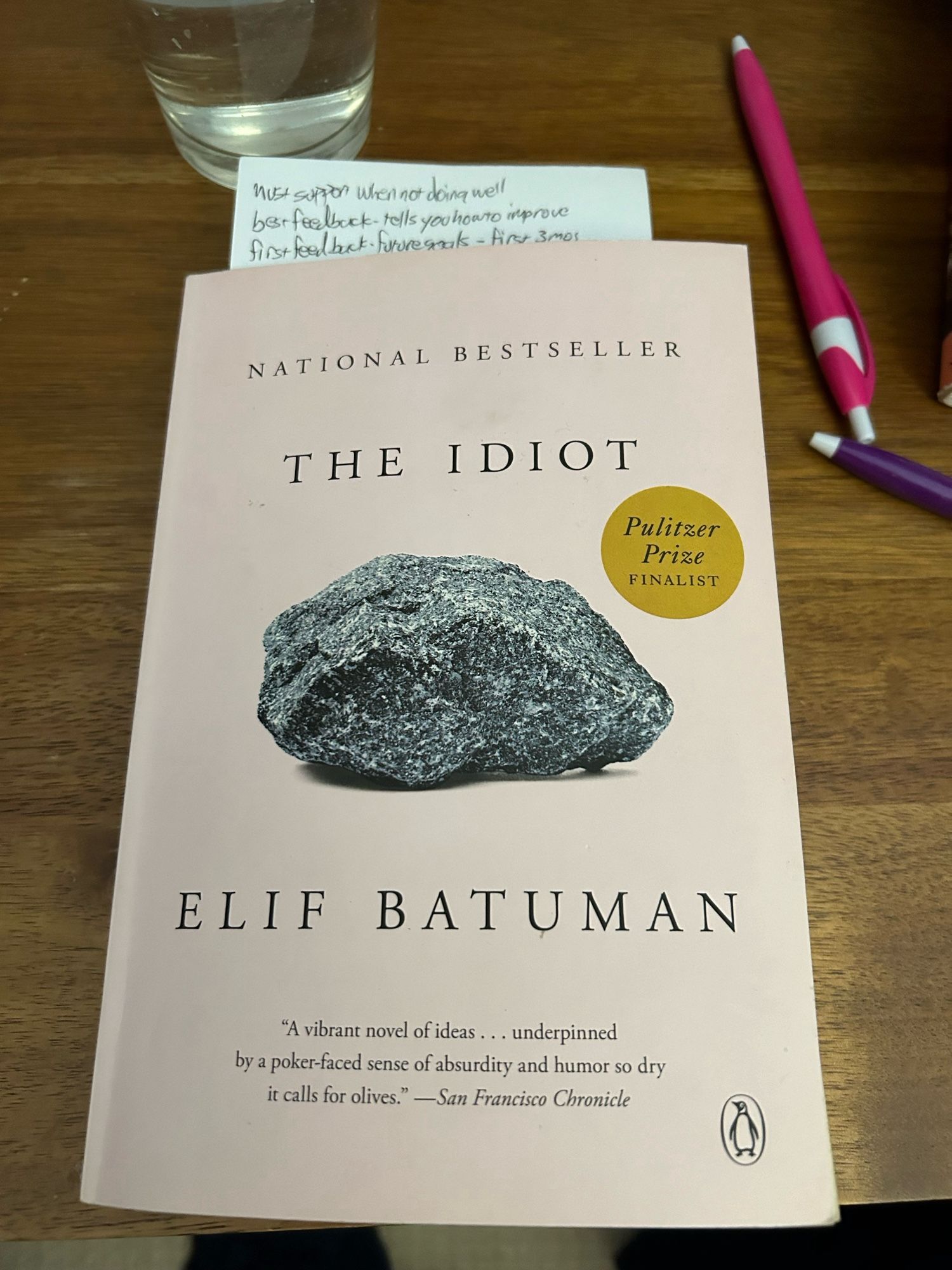 The Idiot by Elif Batuman