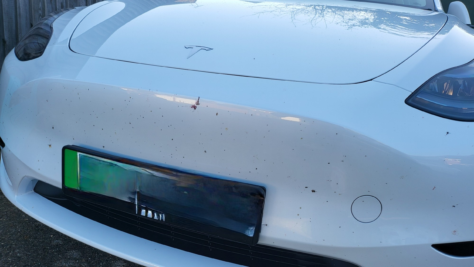 Front of a white Tesla model Y covered in lots of black bug marks