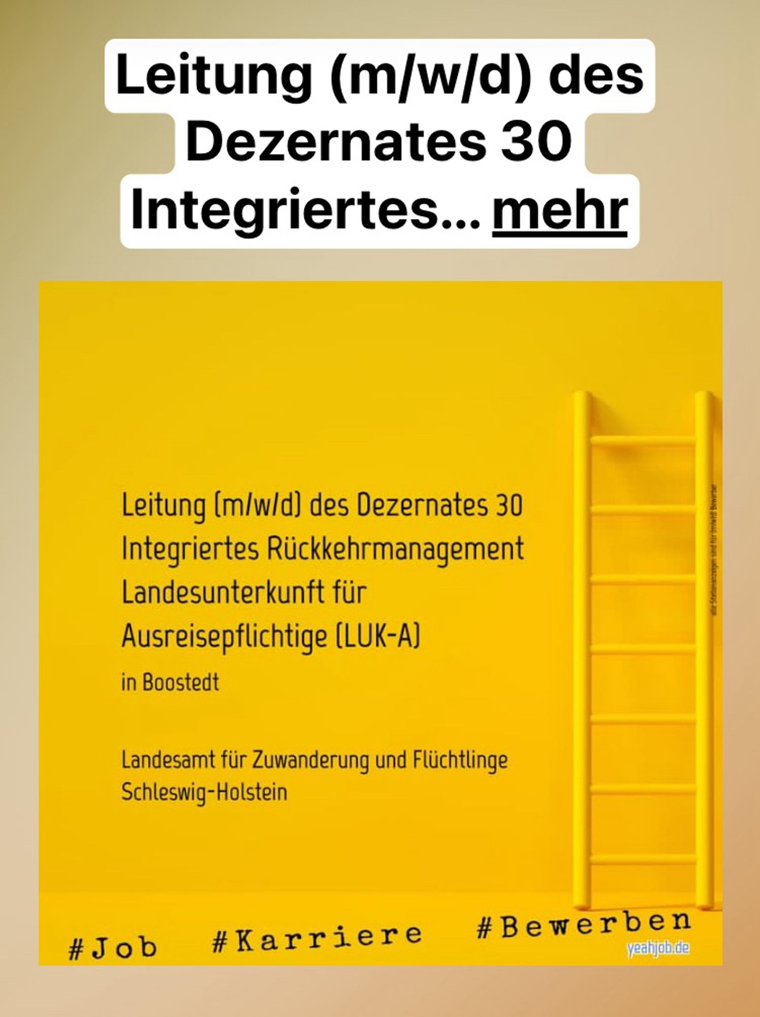 Jobanzeige „Leitung (m/w/d) des Dezernates 30 Integriertes Rückkehrmanagement
Landesunterkunft für Ausreisepflichtige (LUK-A)
in Boostedt
Landesamt für Zuwanderung und Flüchtlinge
Schleswig-Holstein“