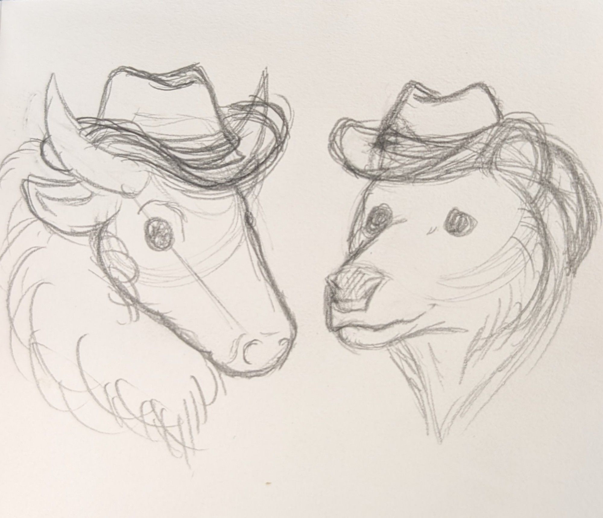 Simple, sketchy, headshots of a bison and a bear wearing cowboy hats