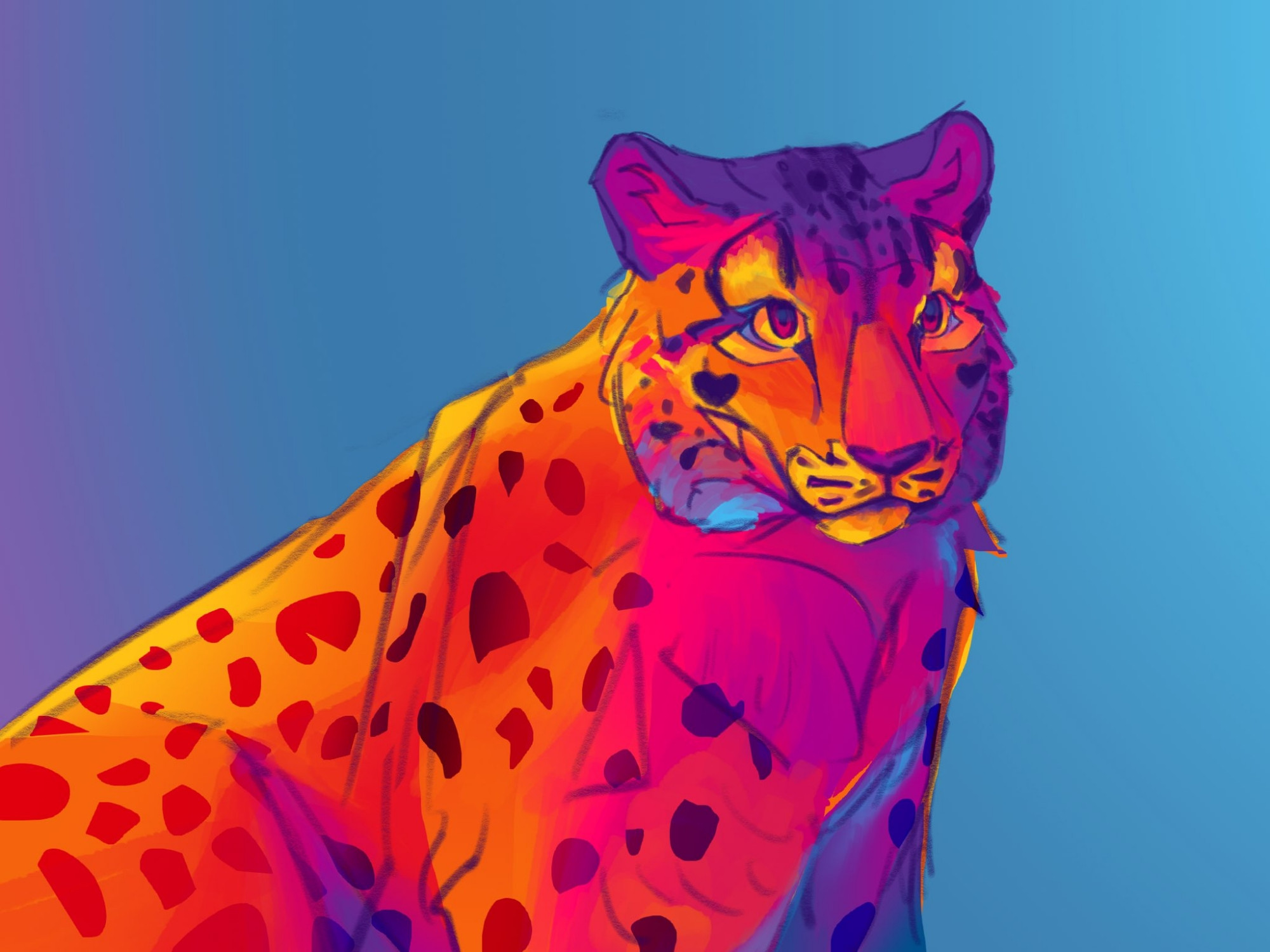 a snow leopard in rainbow colours