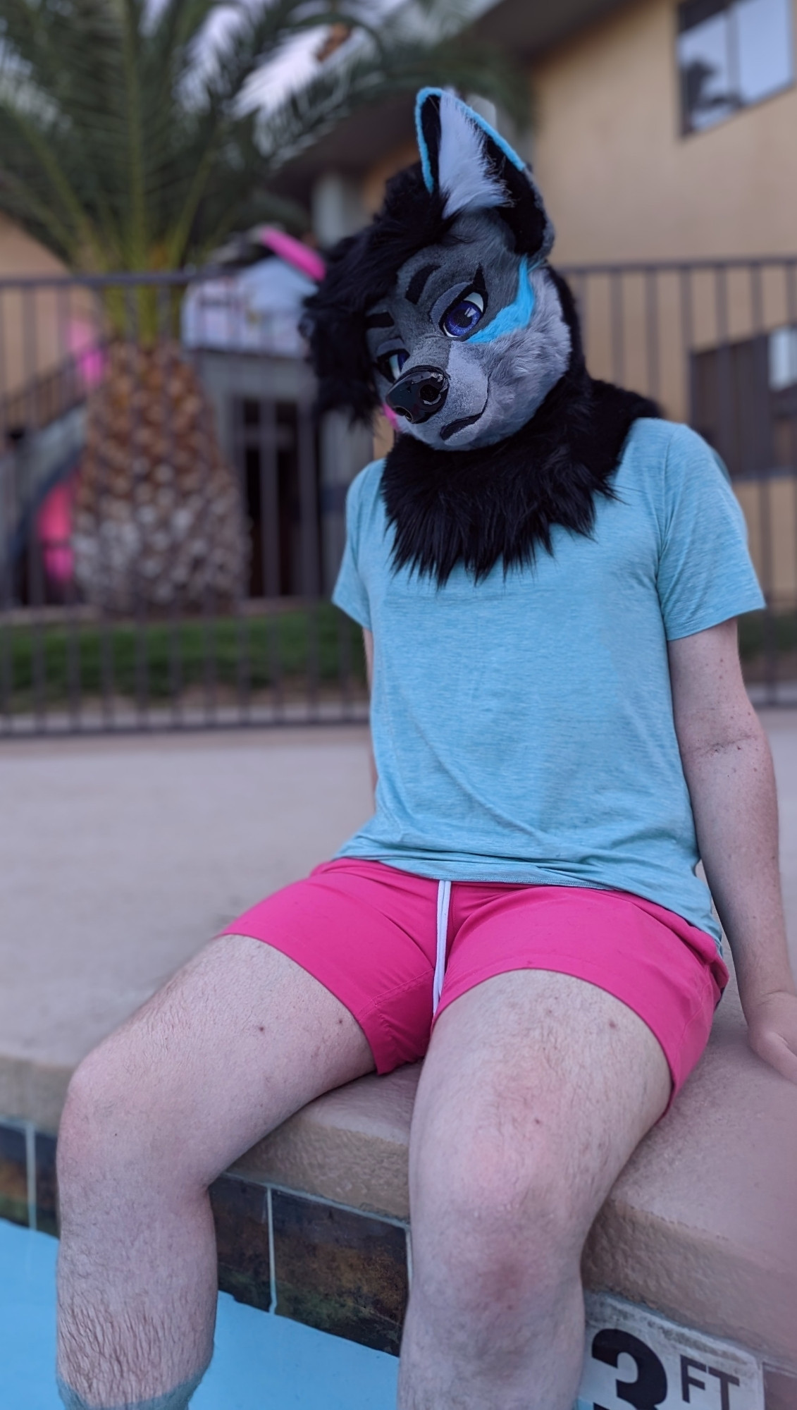 Me in fursuit lounging by the pool