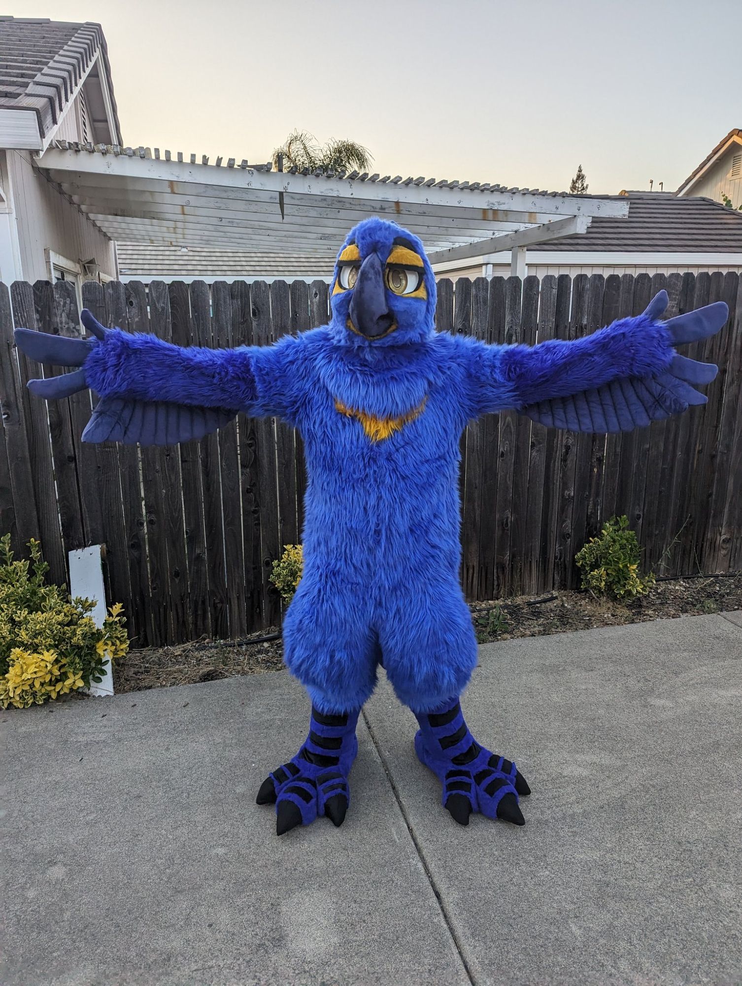 Blue bird fursuit. Its wings are spread out.