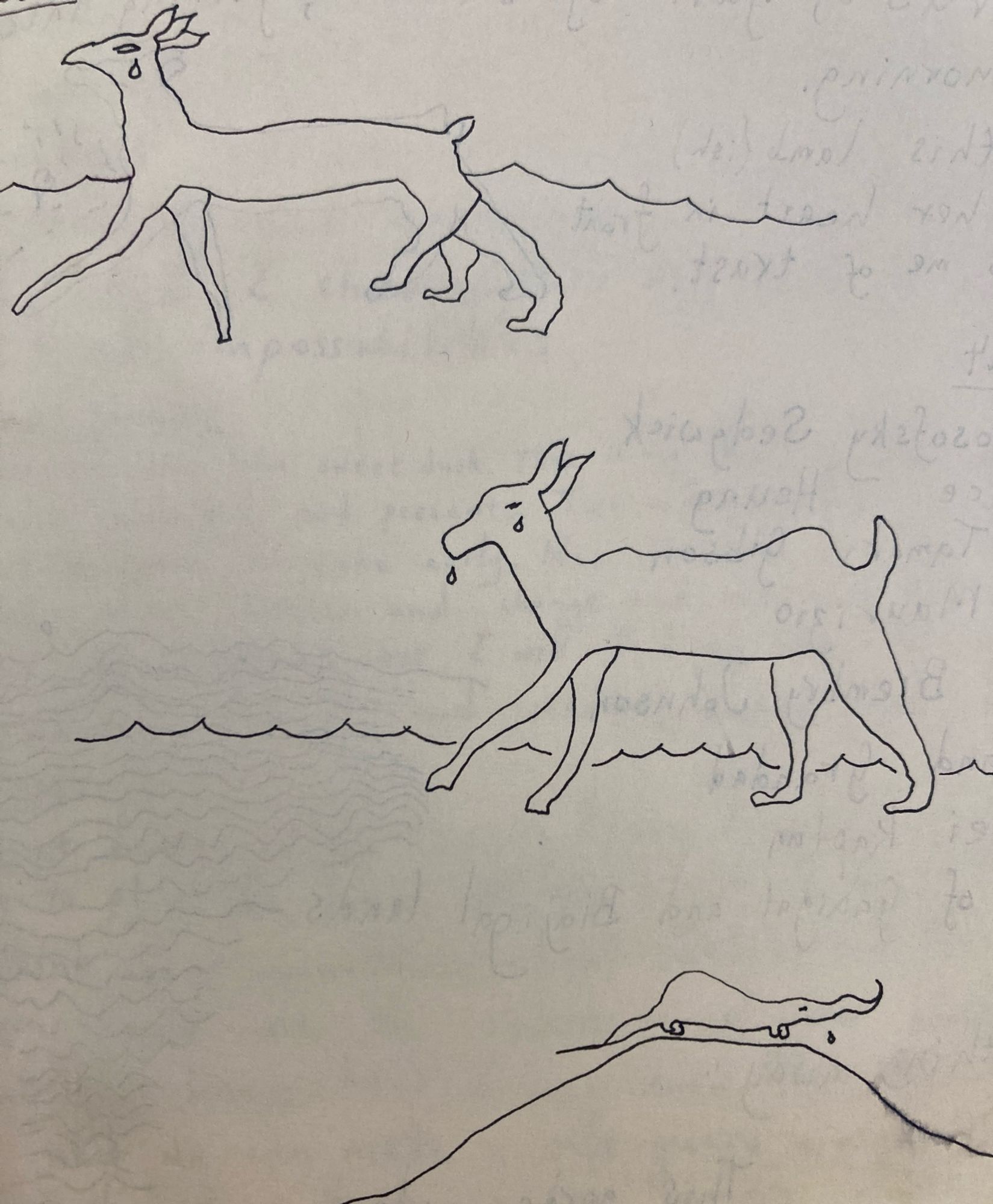 line drawings of three imaginary creatures, one a little like a crying deer with five legs, one a little like a goat with water falling from mouth and eye, and one a kind of ant eater with a curly nose on a hill.