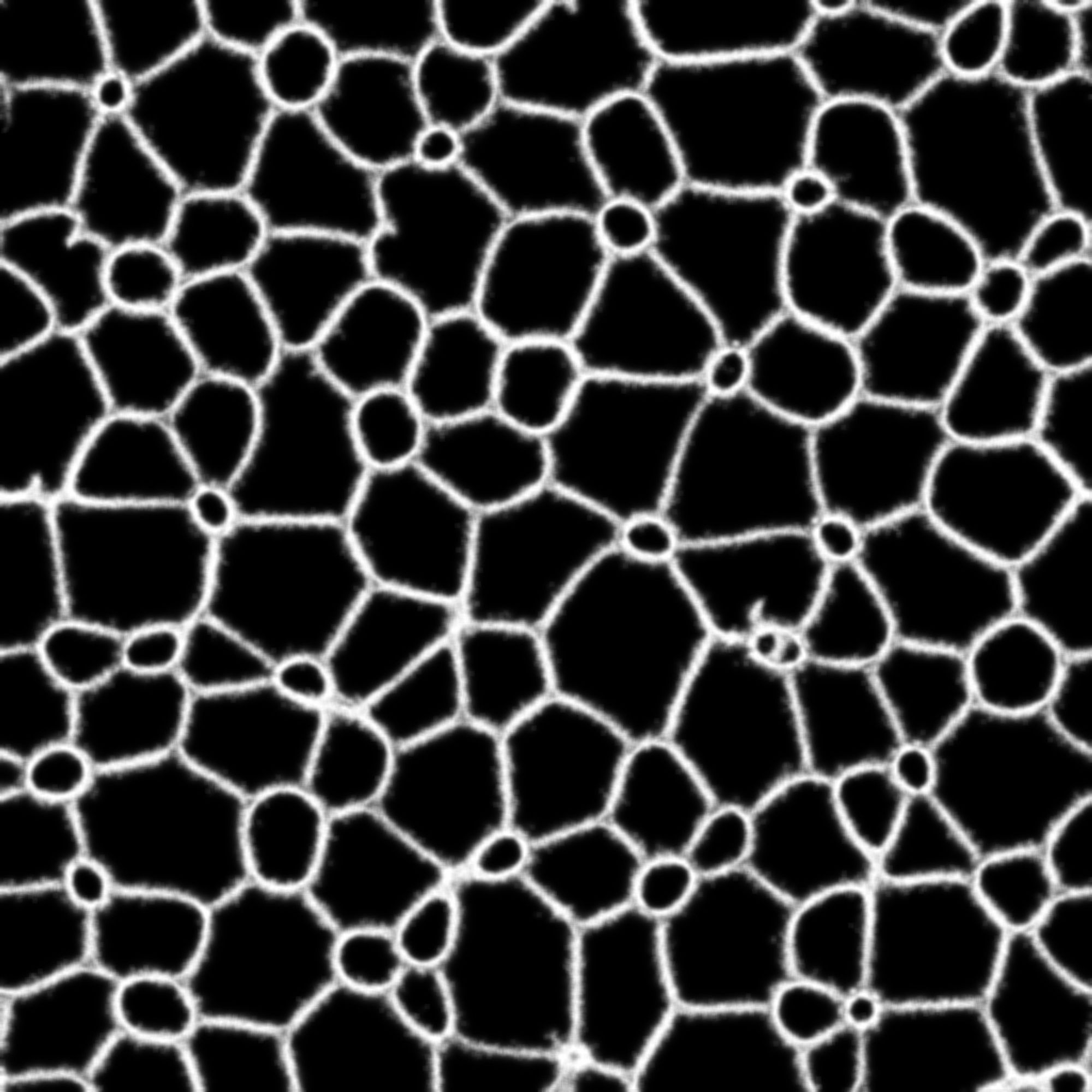 this one looks like a voronoi diagram but with some round cells