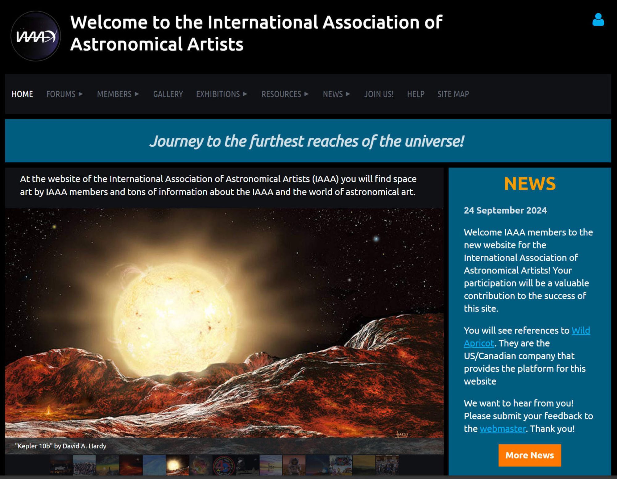 IAAA Website Screenshot