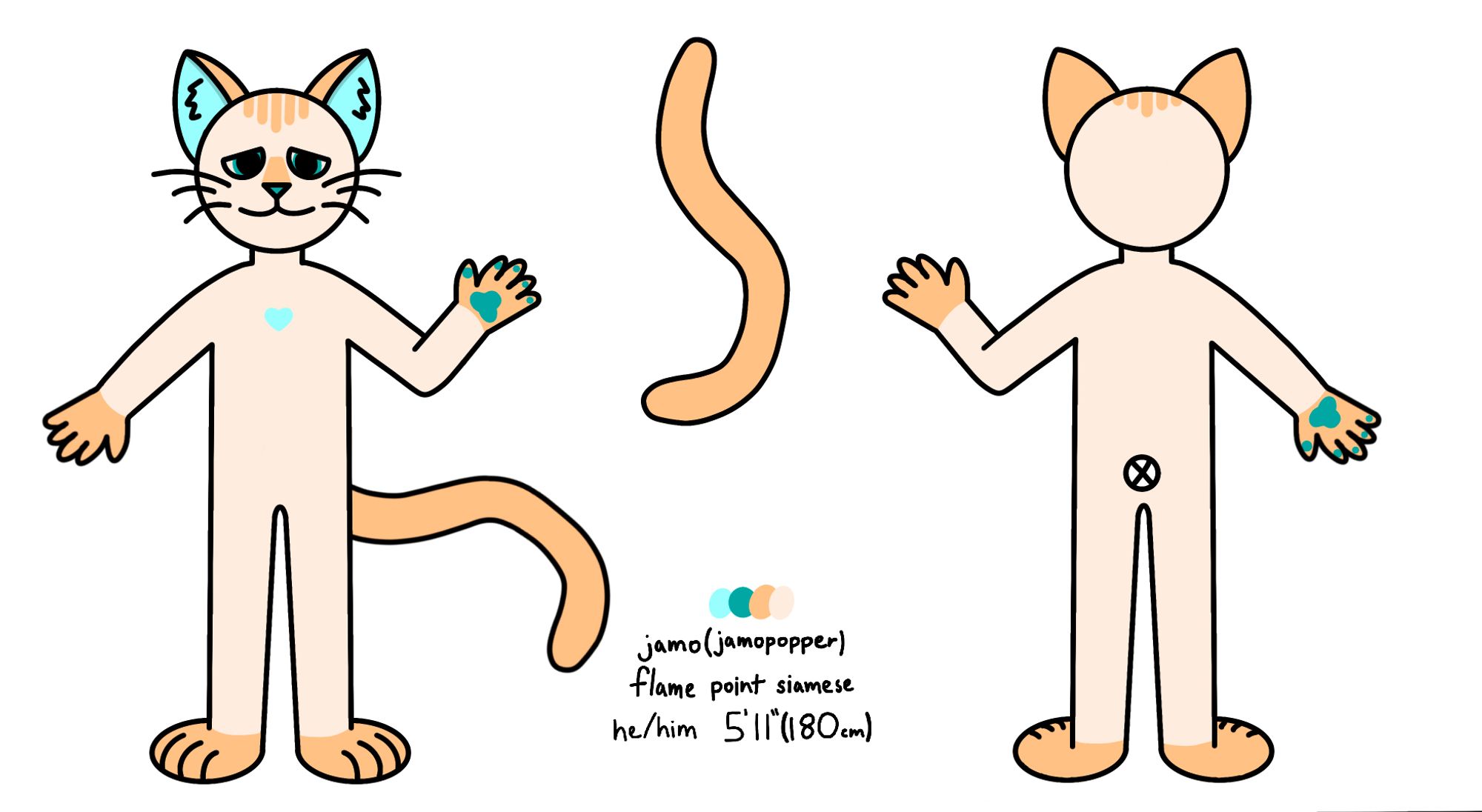 Reference fursona sheet for jamopopper. He is a Flame point siamese, he/him pronouns, and 5'11" (180cm) tall.