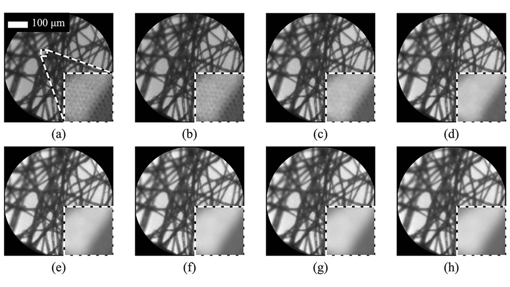 Core removal using Gaussian filters of different sizes for transmission image of lens tissue paper. Raw images were first cropped, masked and normalized.