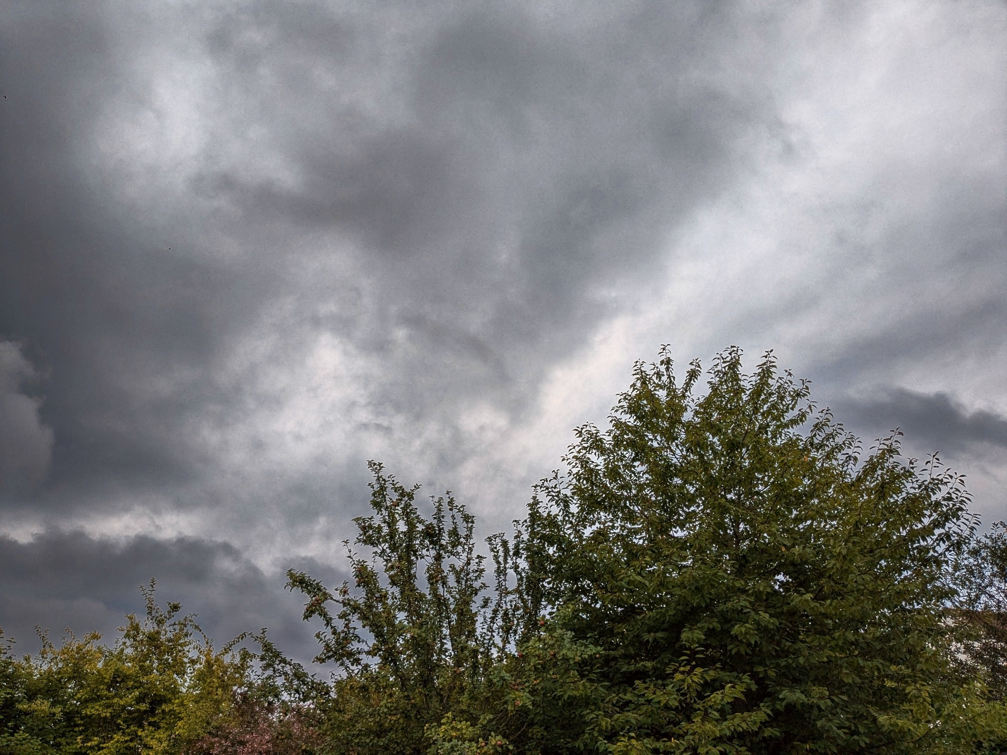 I see sky of grey's
Red rose too, I see them gray
And I think to myself....putain de meteo