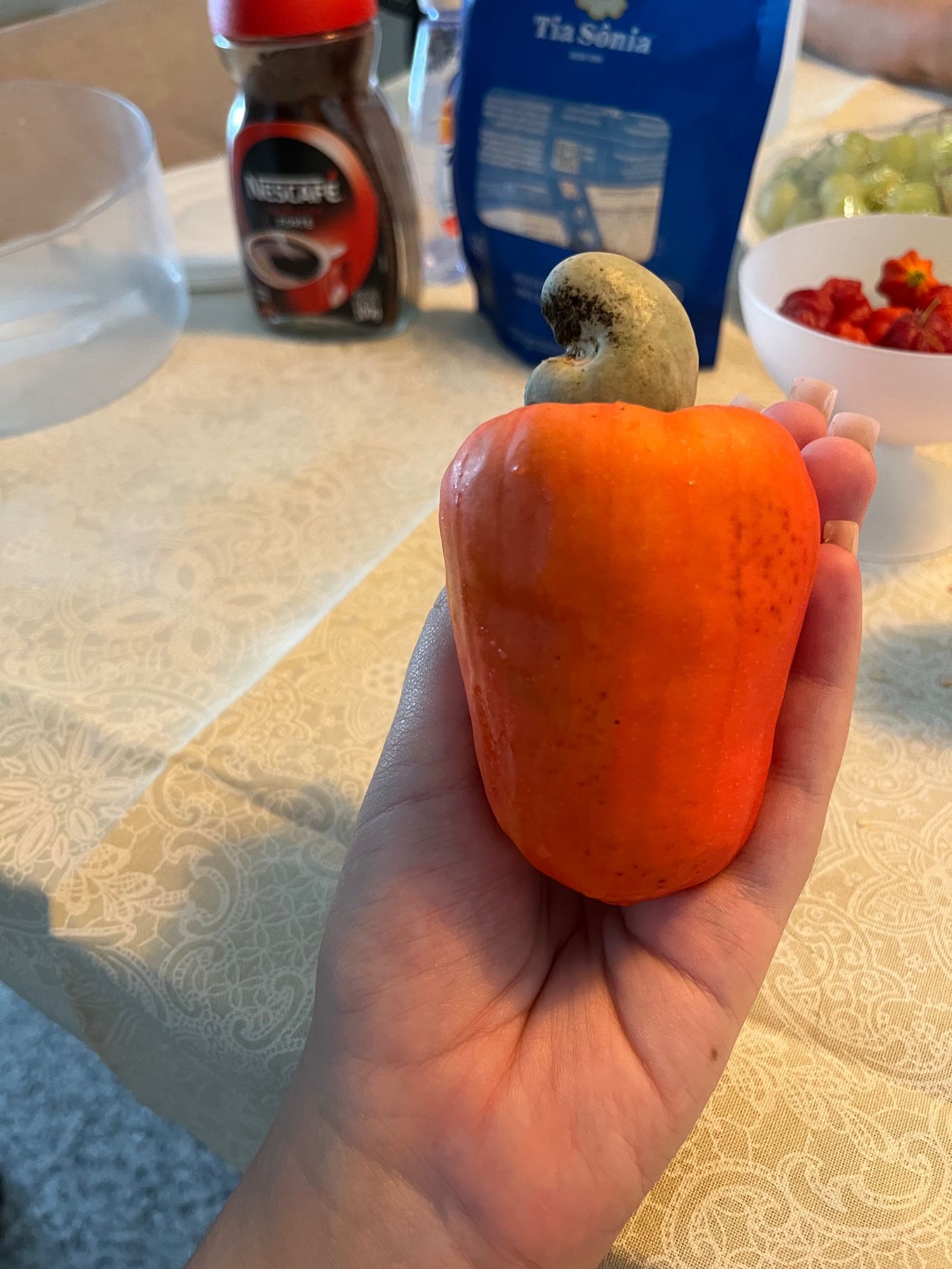 Cashew fruit