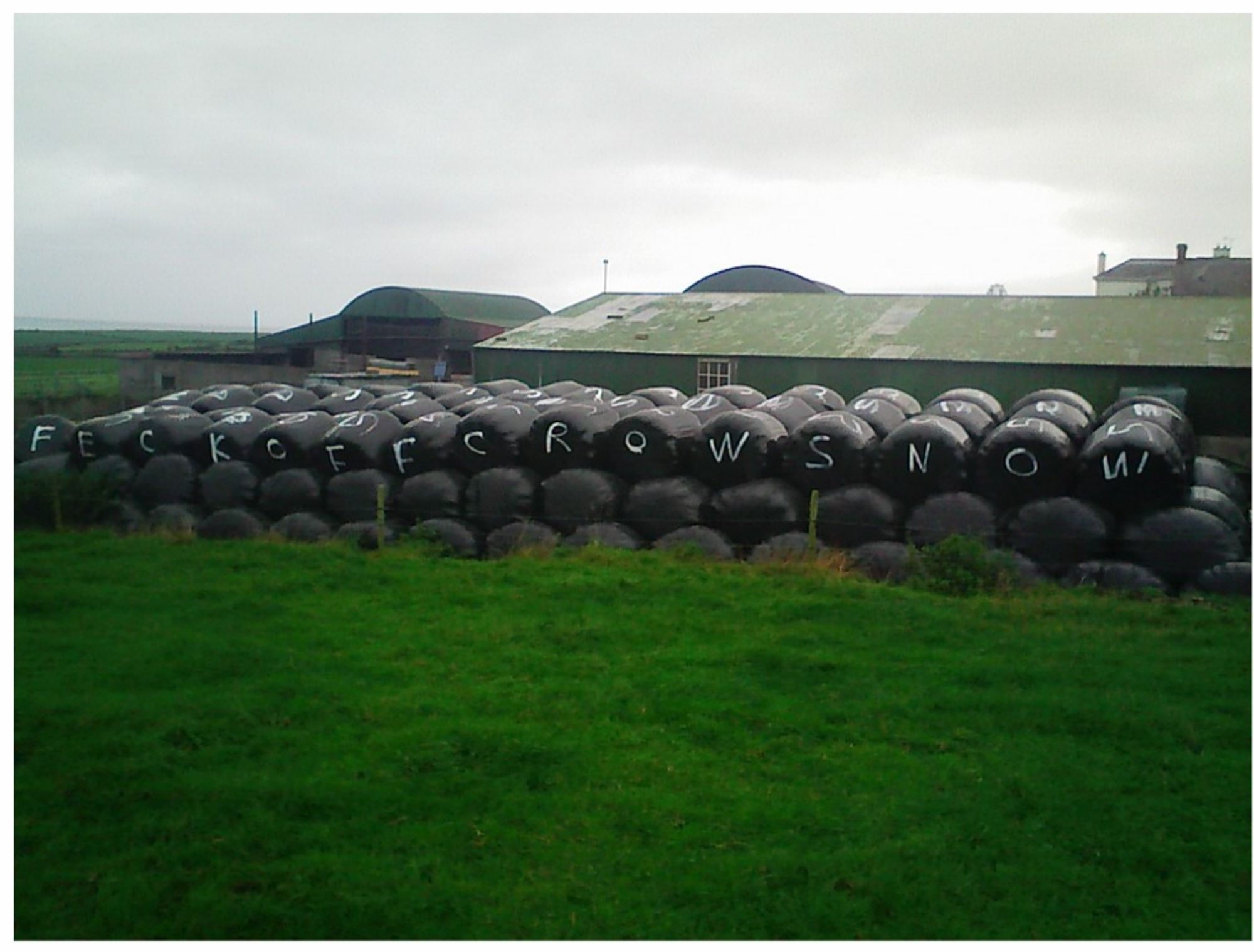 Silage bales, with "Feck Off Crows Now" painted across them