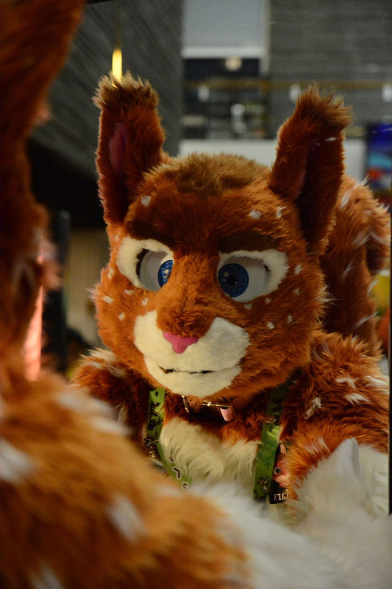 Portrait of my in fursuit looking into a mirror.
Photo by Oposum.