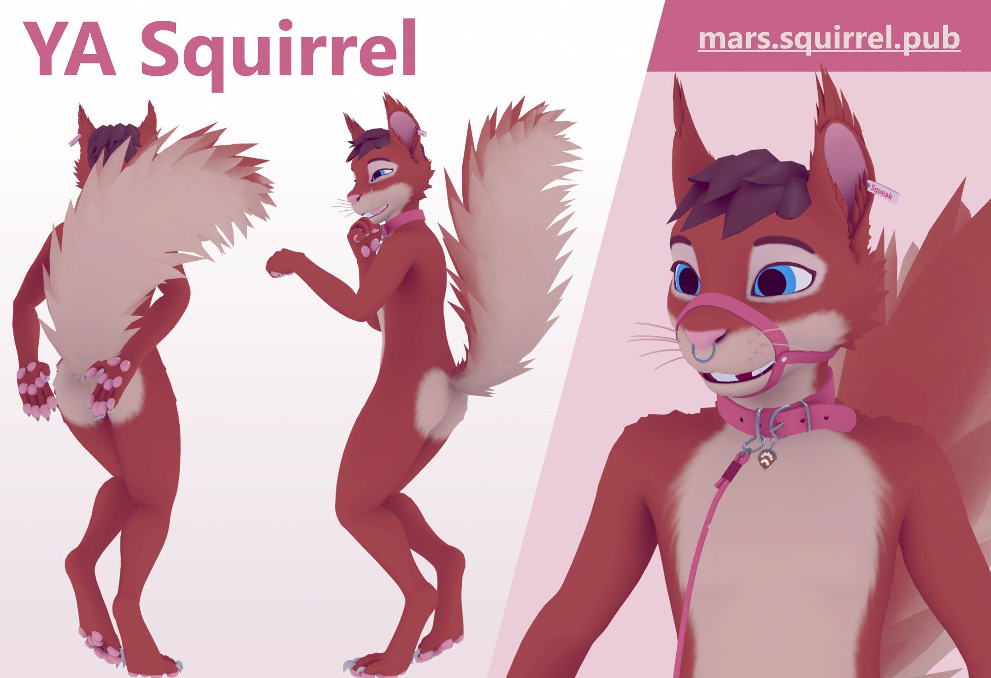 3 poses of a 3d anthro red squirrel.
One from behind showing its hand paws, second from the side, third is an upper body closeup of it wearing a muzzle and leash.