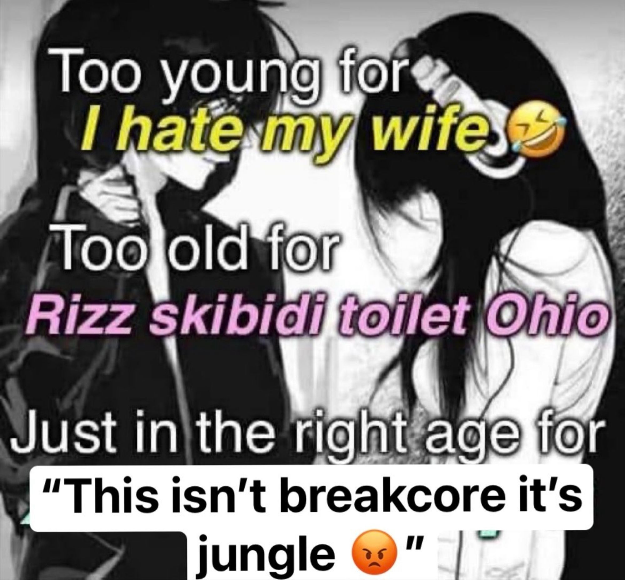 Too young for I hate my wife
Too old for
Rizz skibidi toilet Ohio
Just in the right age for
"This isn't breakcore it's jungle"