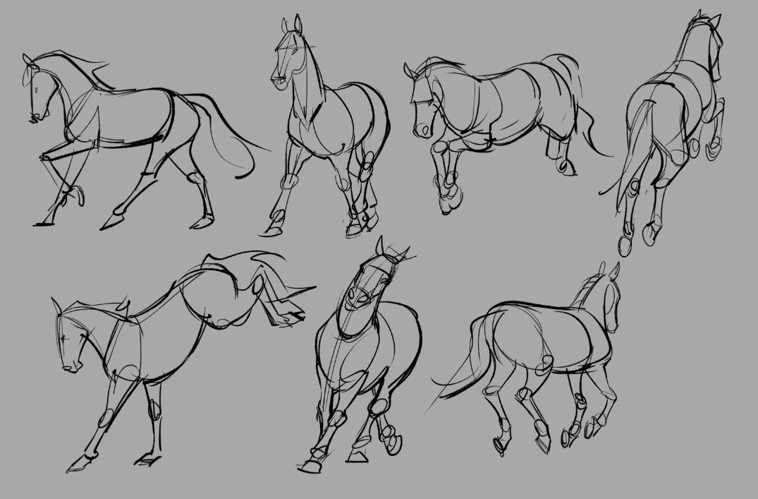 Loose sketches of horses in various poses from reference.