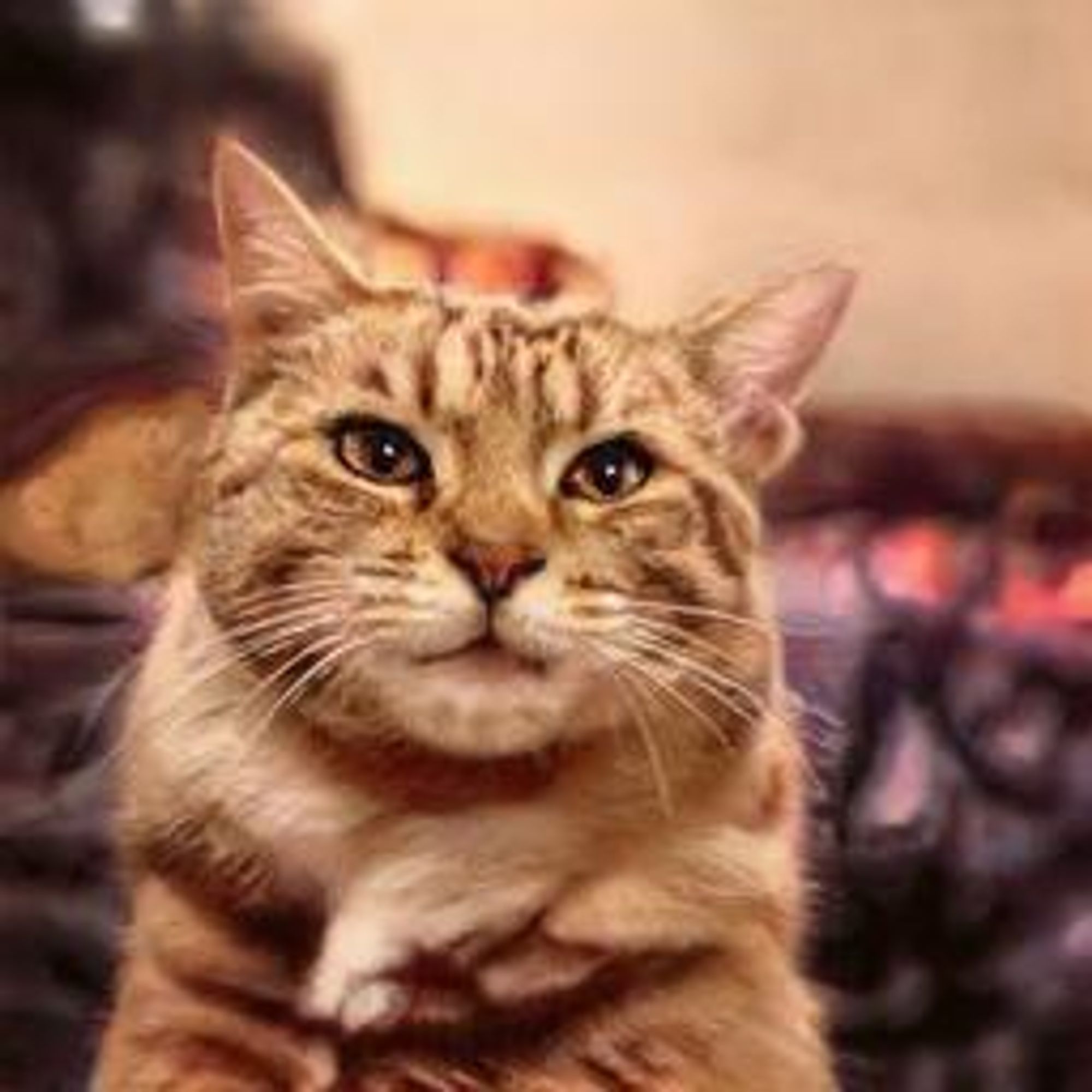 A digital painting of a tabby cat with brown and white fur, sitting with its front paws crossed. The cat has a serious expression on its face and appears to be judging the viewer. The background is out of focus but shows a warm fire.