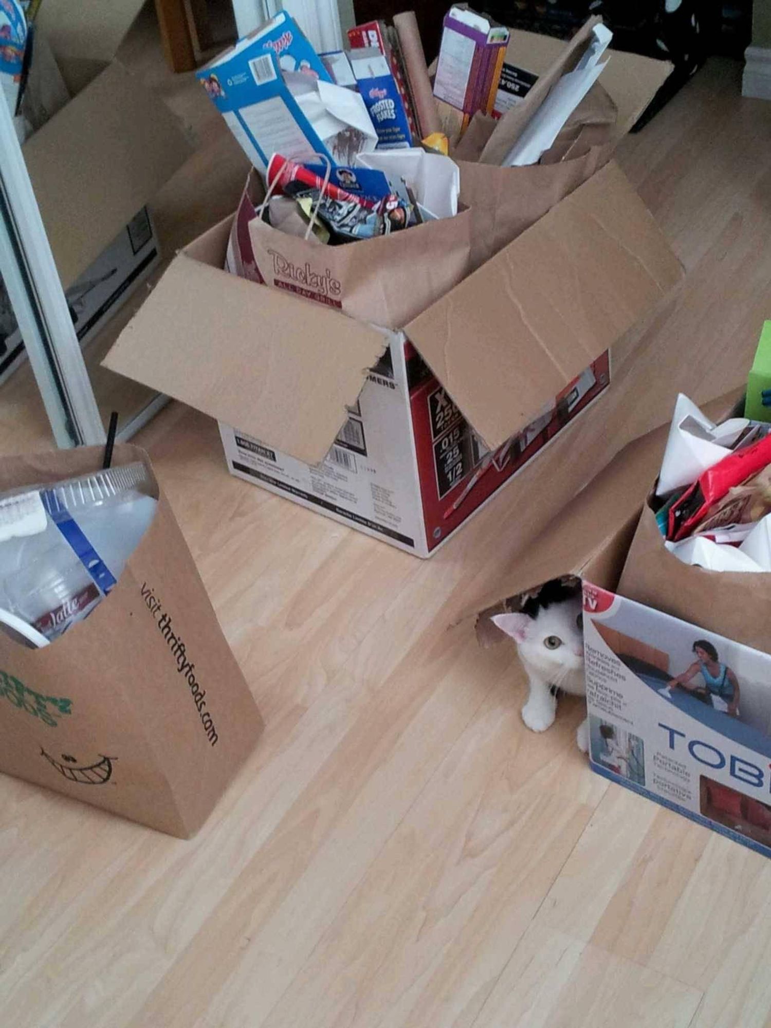 A white and black cat is peeking out from the corner of a cardboard box, looking toward the camera. There are other cardboard boxes and bags surrounding the cat,  all on a wooden floor. The cat appears to be enjoying its time inside the box,  with a playful expression on its face.