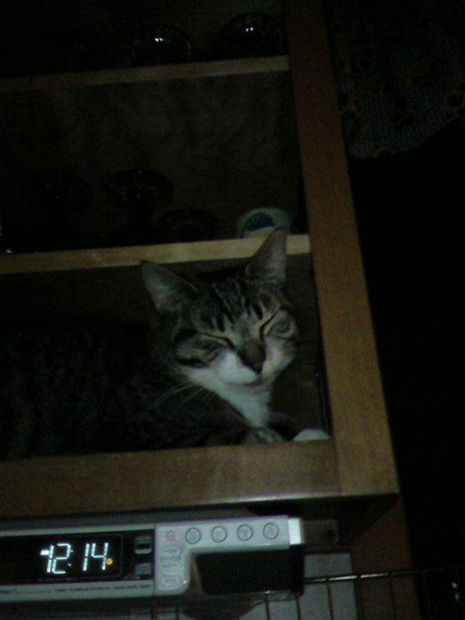 A tabby cat naps in a dark cabinet, its head peeking out from the top shelf. The cat's eyes are closed and its face is relaxed. A digital clock displaying 12:14 is visible at the bottom of the image.