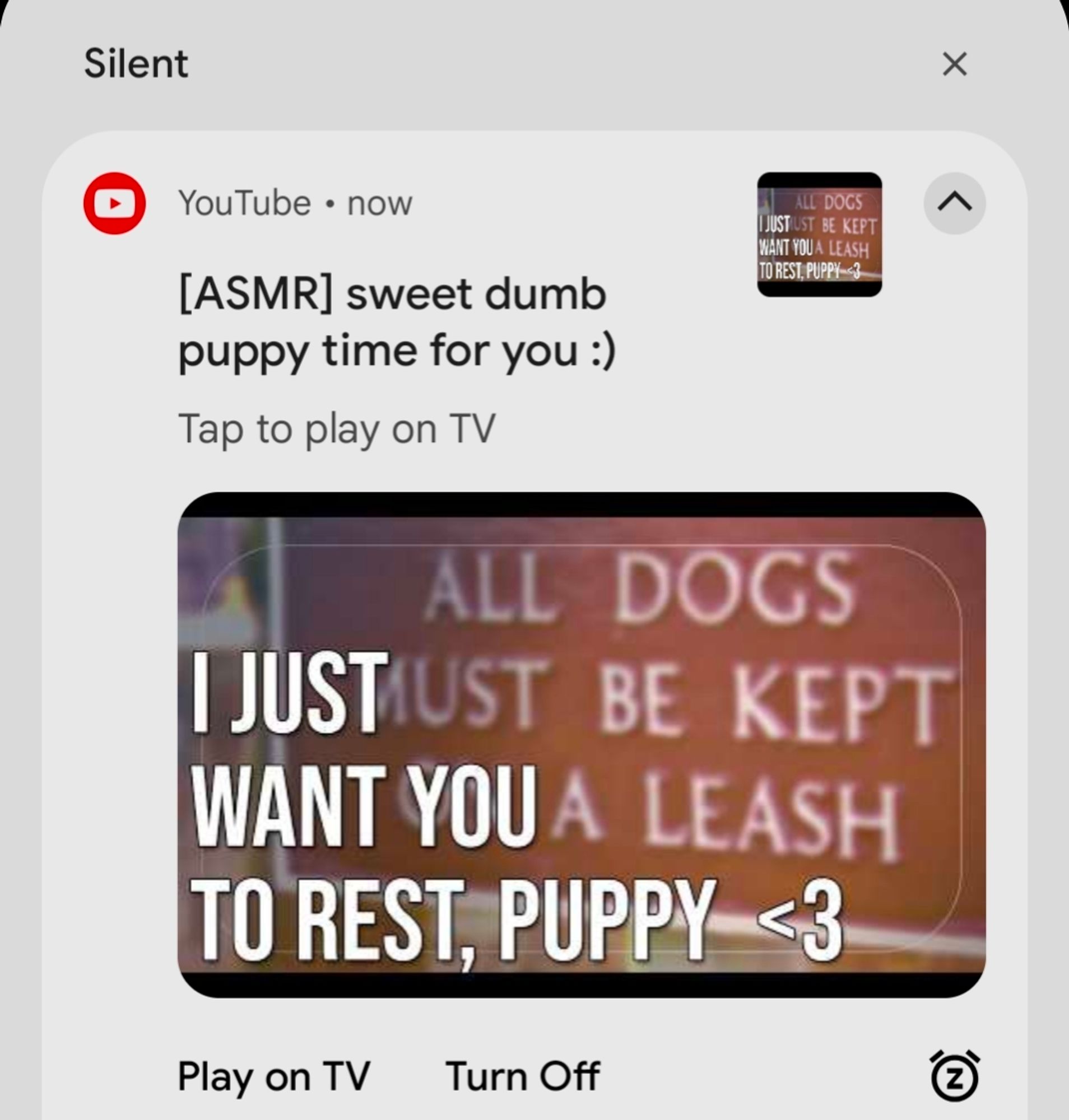 Android notification for YouTube. 

" [Asmr] sweet dumb puppy time for you :)

I just 
Want you
To rest, puppy<3