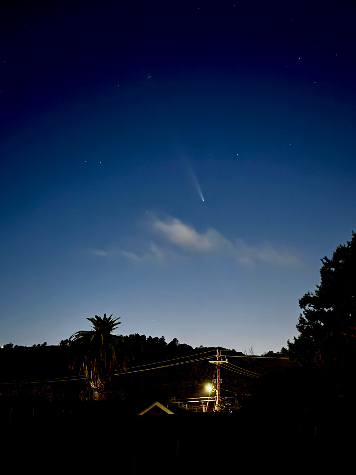 A comet above a palm tree and a power line, with a hill on the background. The sky is blueish grey, and appears like it’s at dusk, with a few clouds just below the comet. 