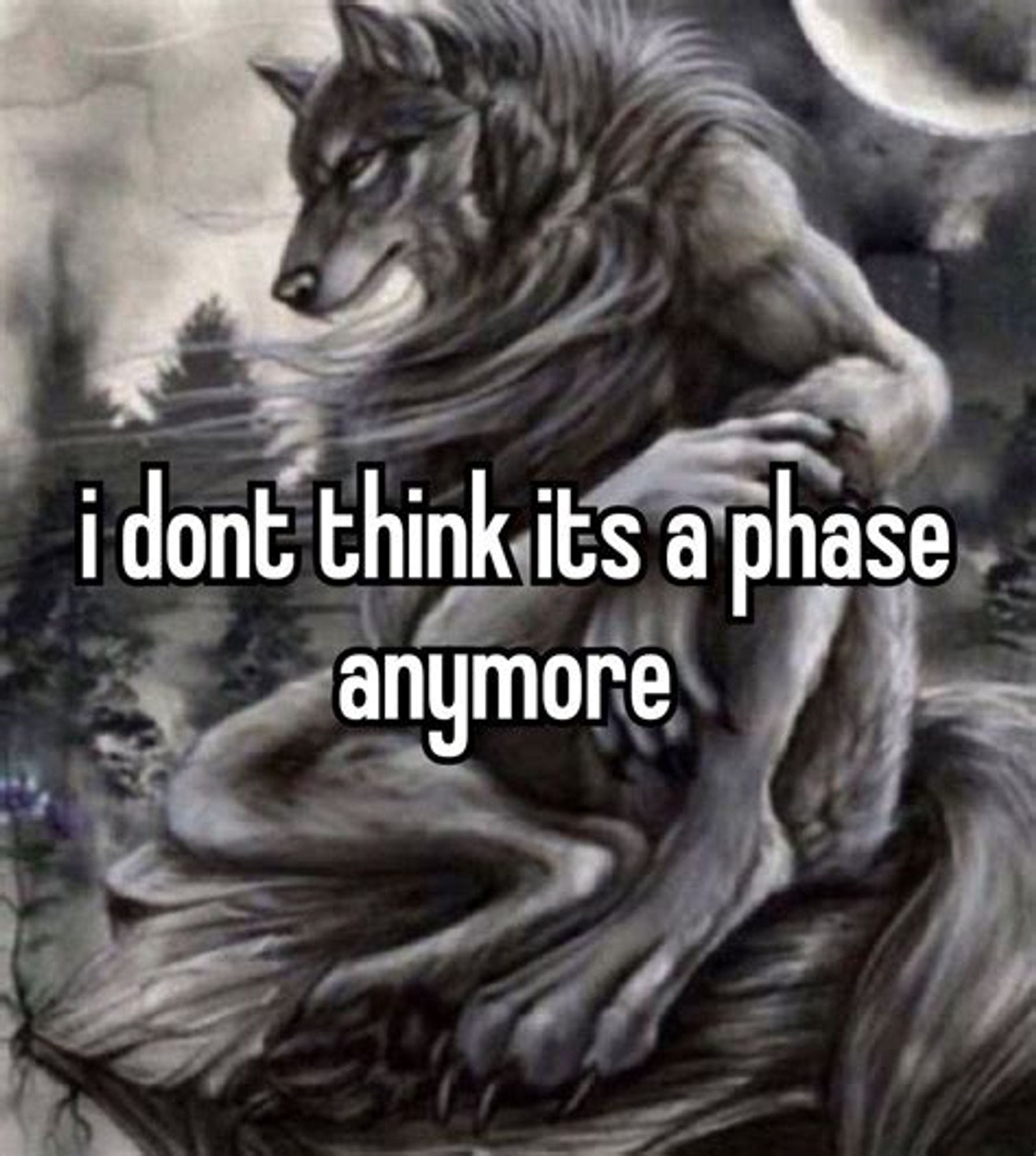 A meme with a detailed painting of a wolf with a man's body shape, sitting on a rock. His pose is casual, but he is looking angrily at the viewer. Overlayed atop the image is text reading, "I don't think it's a phase anymore."