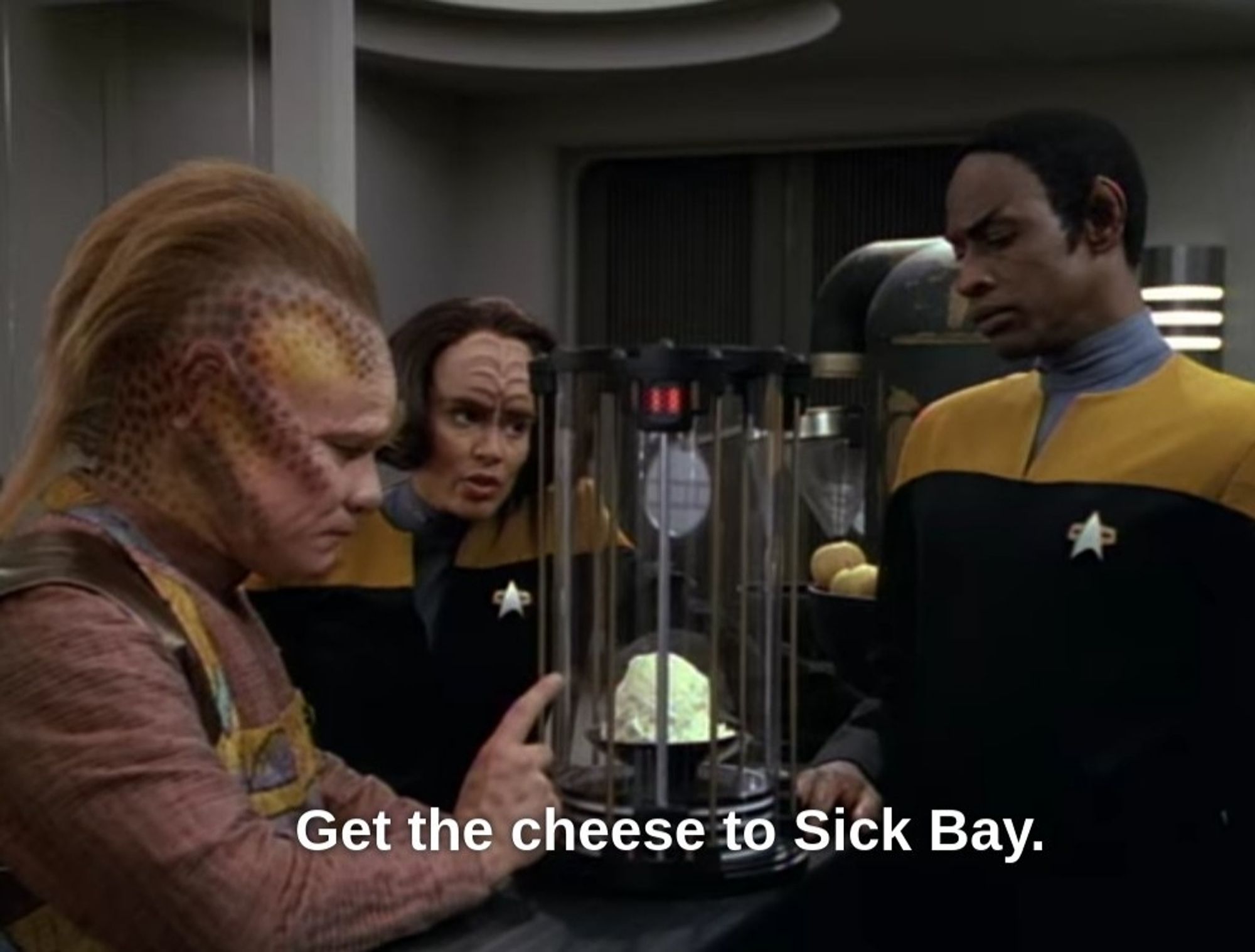 Voyager scene. We're in the galley (kitchen) and I only say that because I see some potatoes in the background and maybe a stand mixer, but they're in the background so I'm not 💯 on this. Tuvok with pointy ears, Torres with forehead loaf, and Neelix in a salmon colored tunic and one of those aprons you wear in art class for a 6 year old are standing and focusing hard on a transparent cylindrical science type enclosure that contains a white clump of something. Kind of looks like a big scoop of ice cream, but *something* tells me it's not ice cream. 
Closed caption reads, "Get the cheese to Sick Bay."