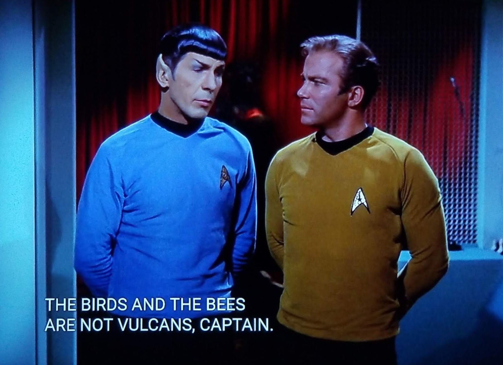 TOS scene. We're on the Enterprise and looking at Kirk and Spock, famous coworkers. Kirk's wearing his yellow uniform in honor of Coldplay, and Spock is wearing a blue uniform in honor of Eiffel 65. They're standing alongside one another chatting and contemplating things. Closed caption reads, "The birds and the bees are not Vulcan, Captain."