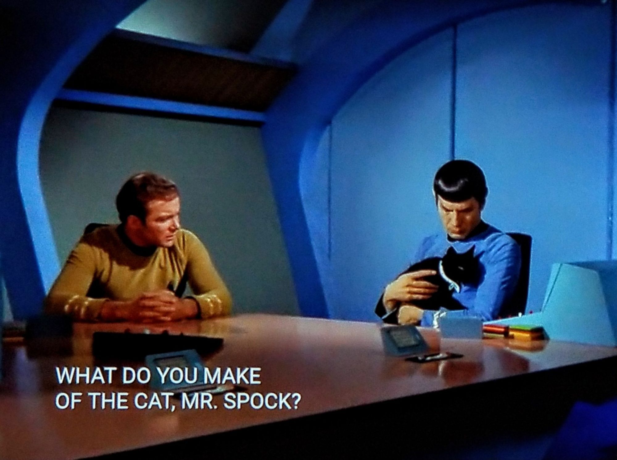 TOS scene. We're in a conference room on the ship. Famous work friends Kirk and Spock are both seated at a long conference table adorned with little monitors and computer switches at each seat. Kirk has elbows on the table hands clasped and is looking at Mr Spock. Mr Spock in his seat is holding a black cat. Closed caption reads, "What do you make of the cat, Mr. Spock?"