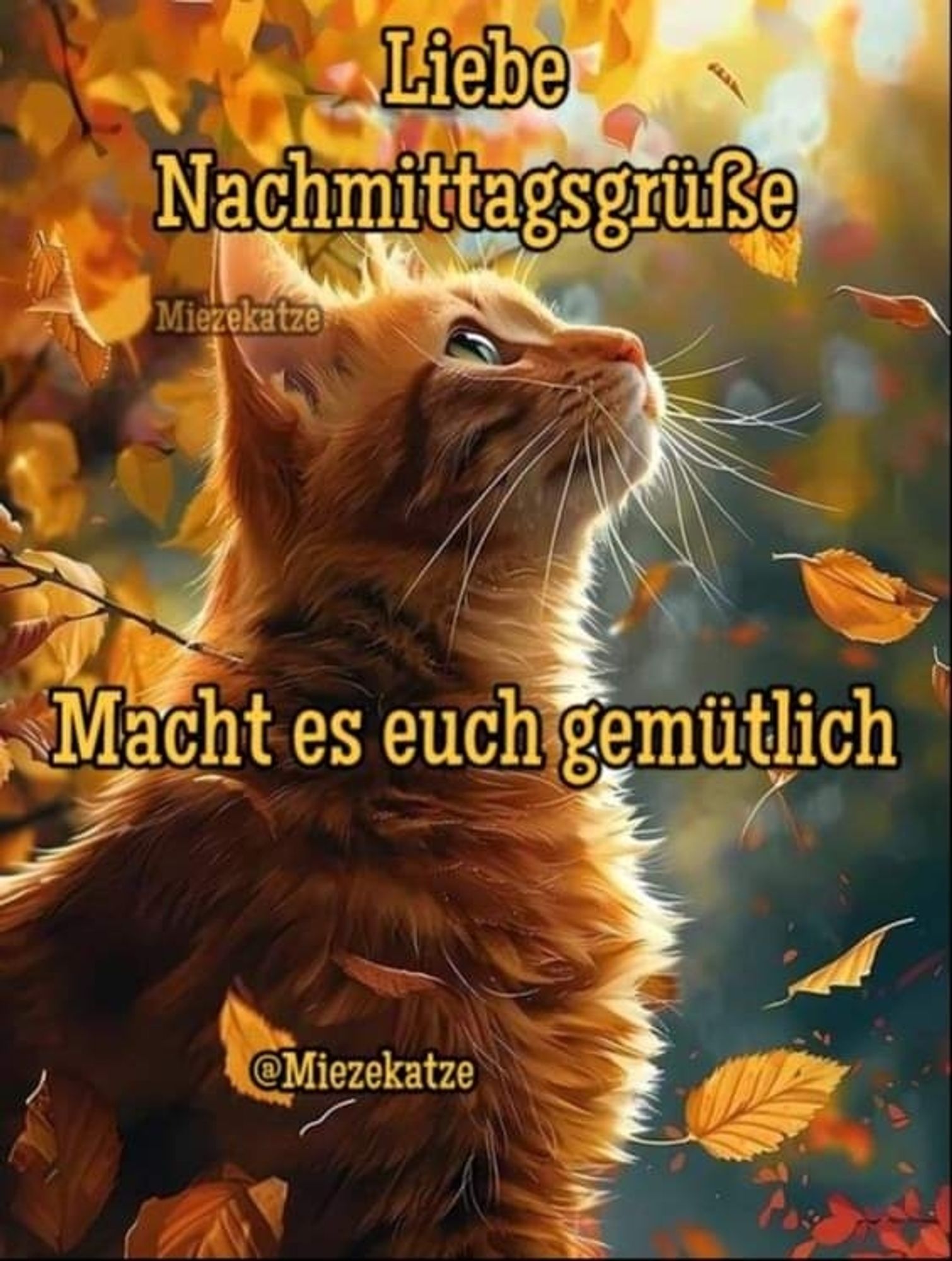 Eine Katze neben einem Baum, bei dem das Herbstlaub herunterrieselt. Dazu steht:

Liebe Nachmittagsgrüße

Macht es euch gemütlich 

@Miezekatze