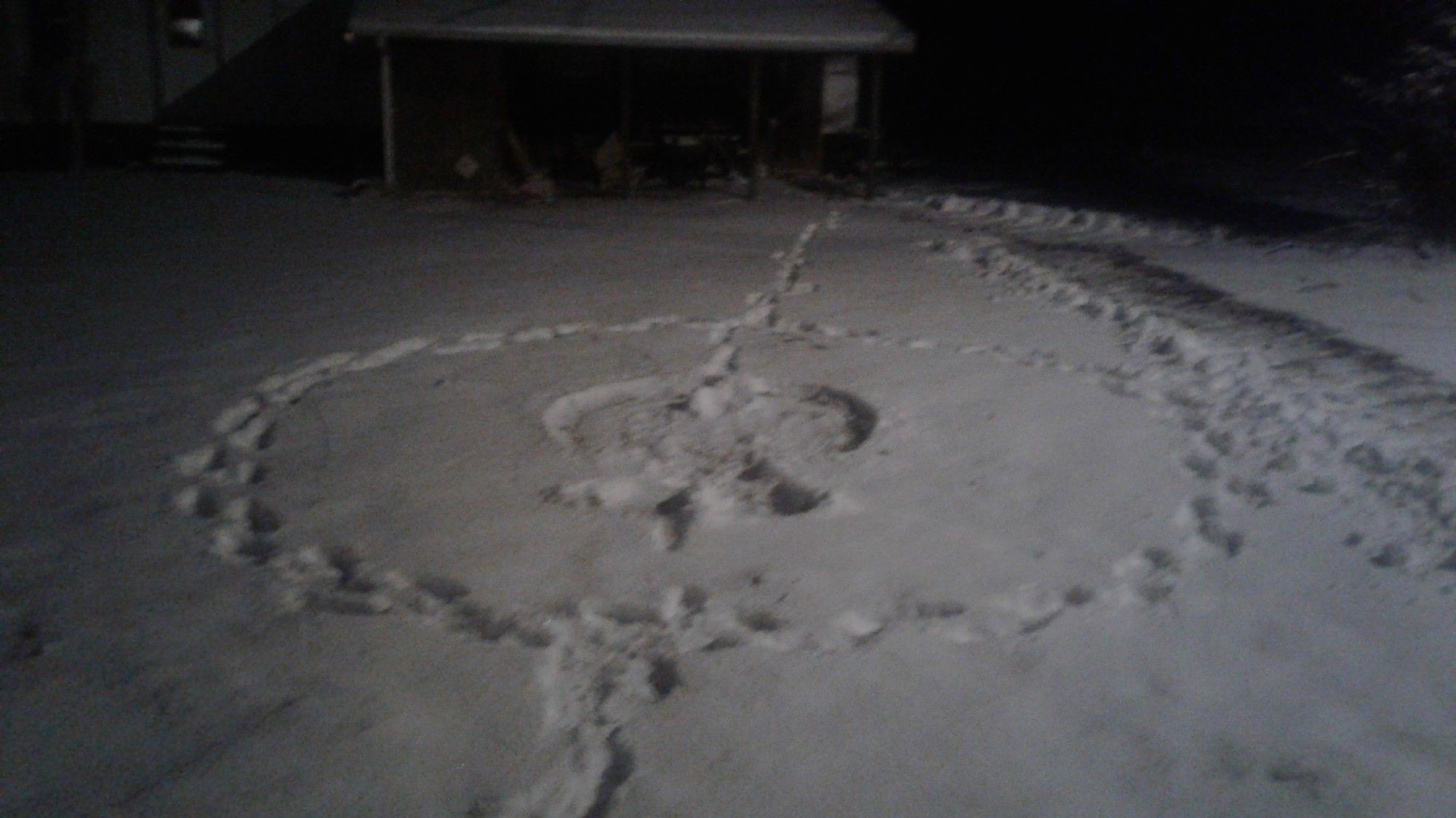 A snow angel in a ring.