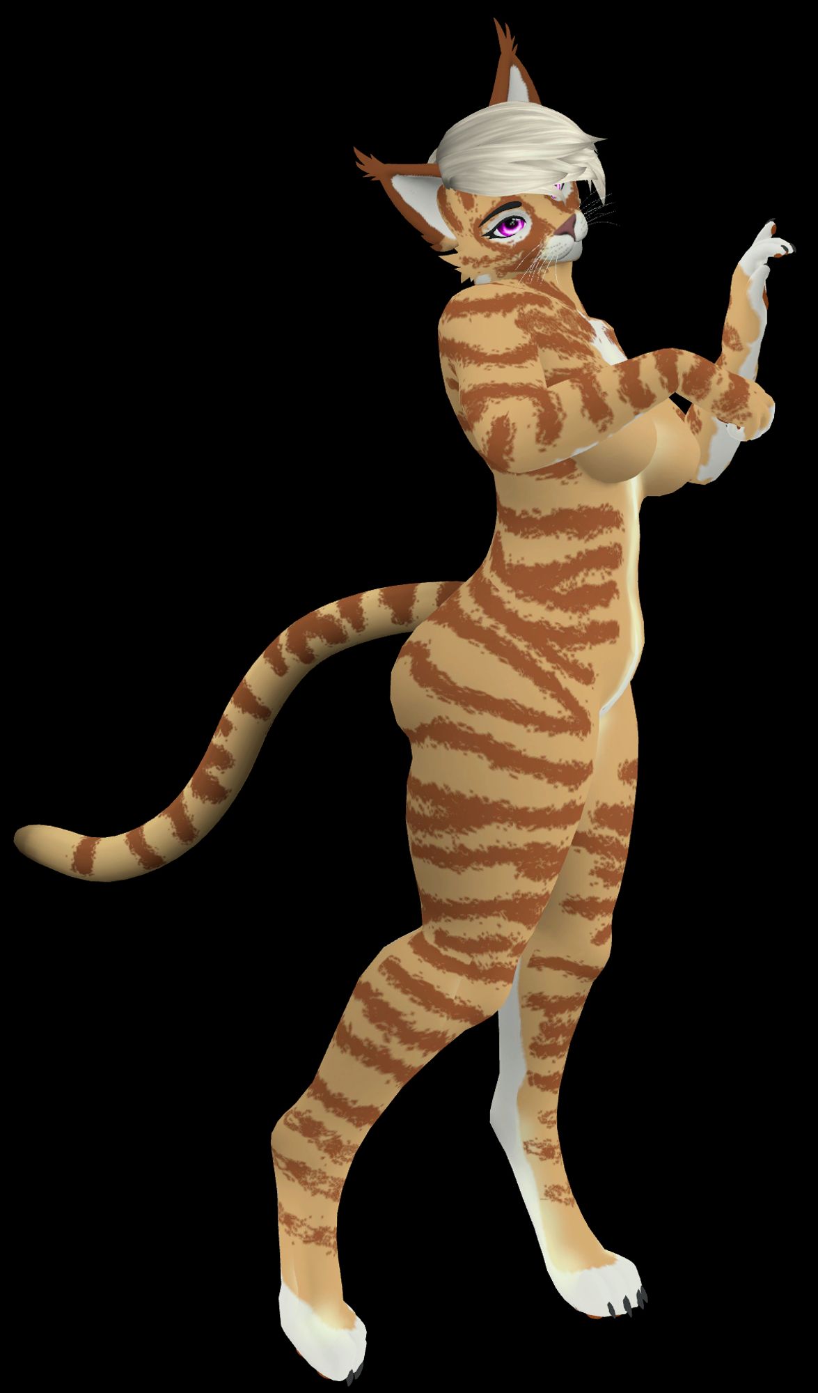 Tabby cat 3d model