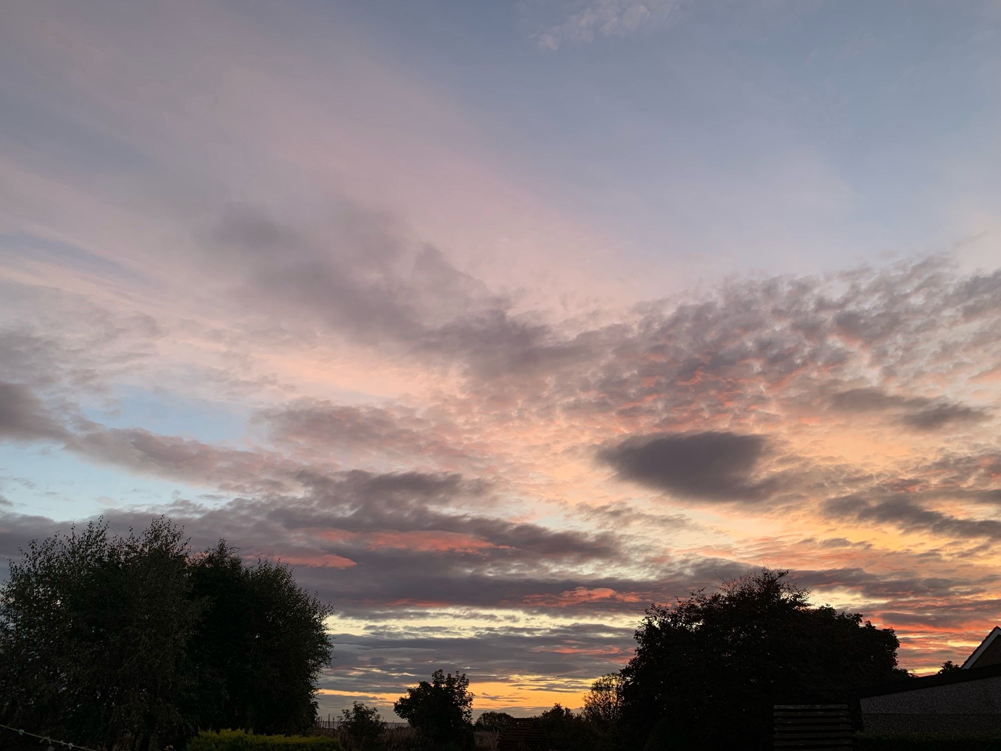 Sunrise sky with grey and pink clouds trees silhouetted below