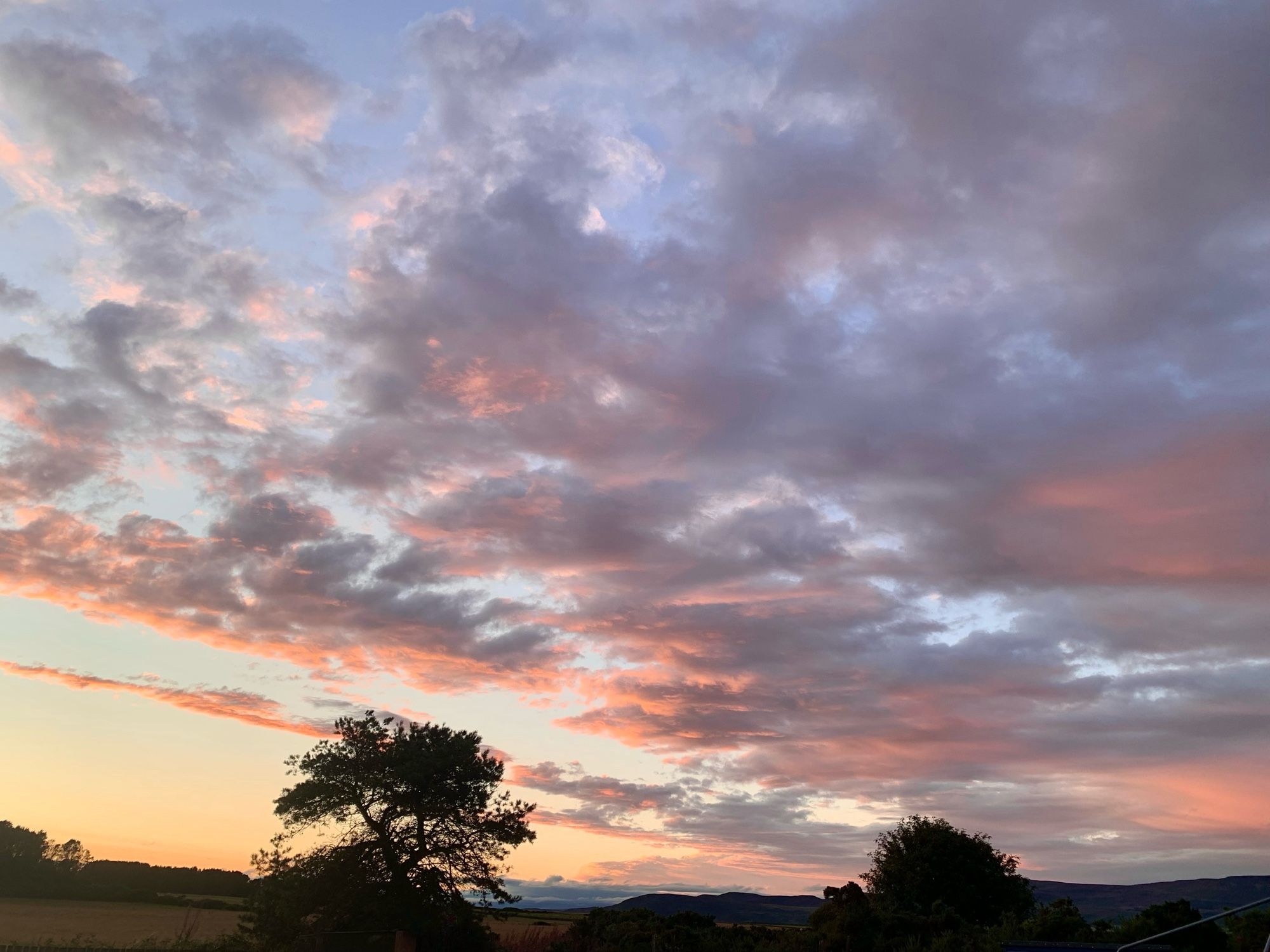 Clouds at sunset shades of pink and organs trees in silhouette