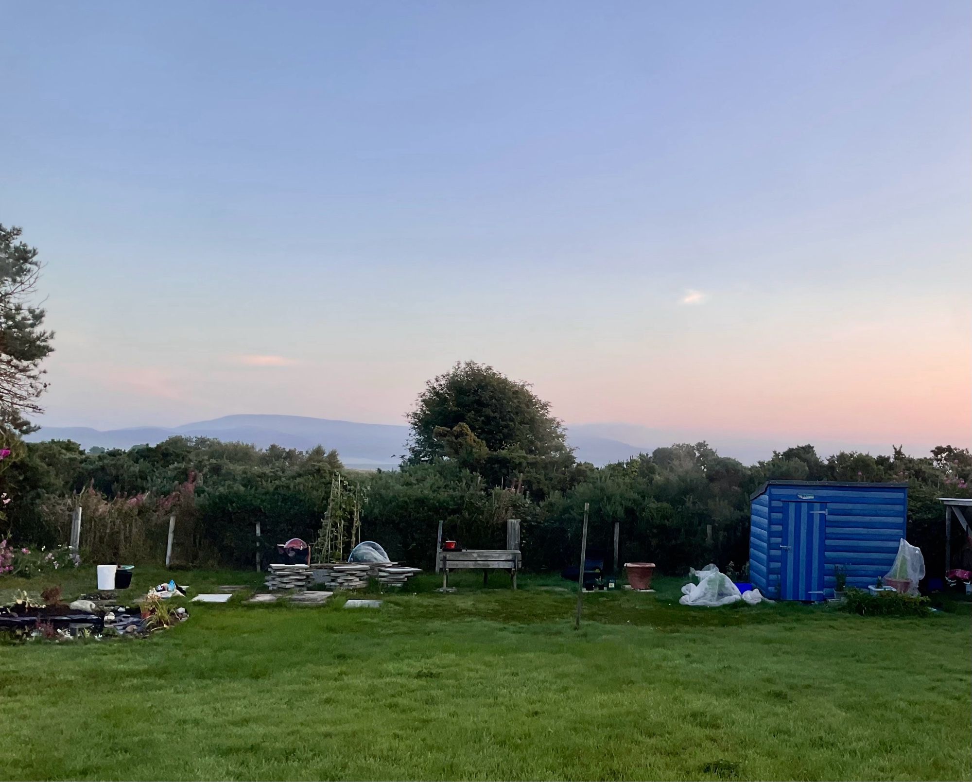 Garden view grass blue shed right stacked paving slabs centre pond segment left. Wire fence. Horse, trees misty hills pale pink and blue sky