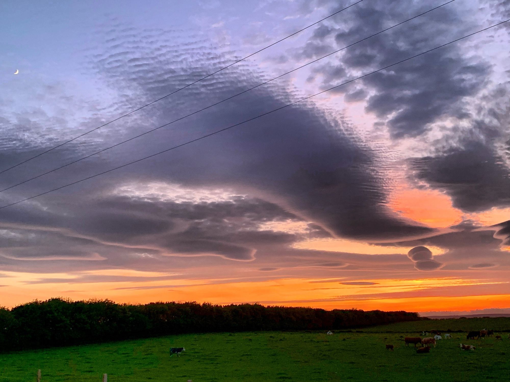 photo of a sunset sky with distinct grey clouds top to mid frame. Orange and pink clouds below.Power wires bisecting mid left to top right and  slice of moon top left. Silhouetted trees, bottom.