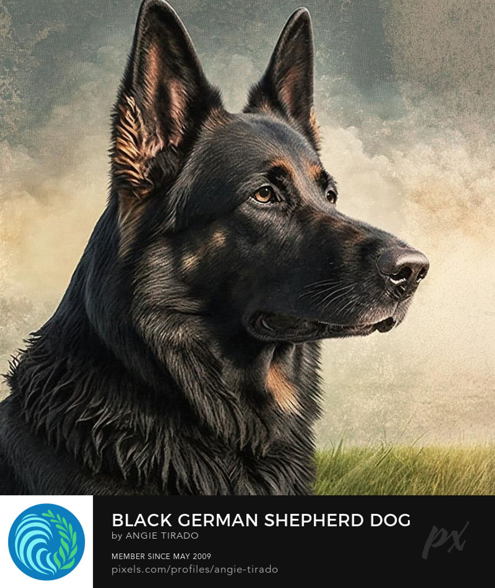 german shepherd dog portrait