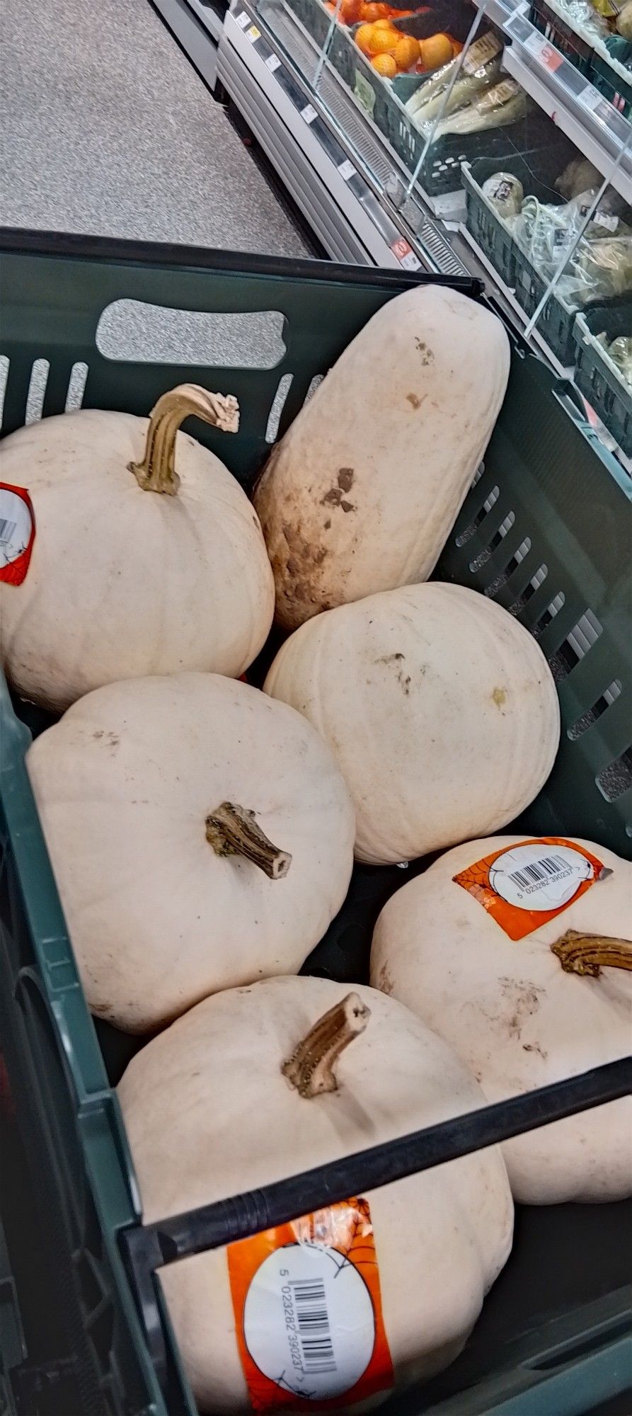 Photo of the pumpkins on offer in my local Spar. A green plastic crate containing five roughly spherical white skinned pumpkins and one elongated, ovoid white skinned pumpkin.