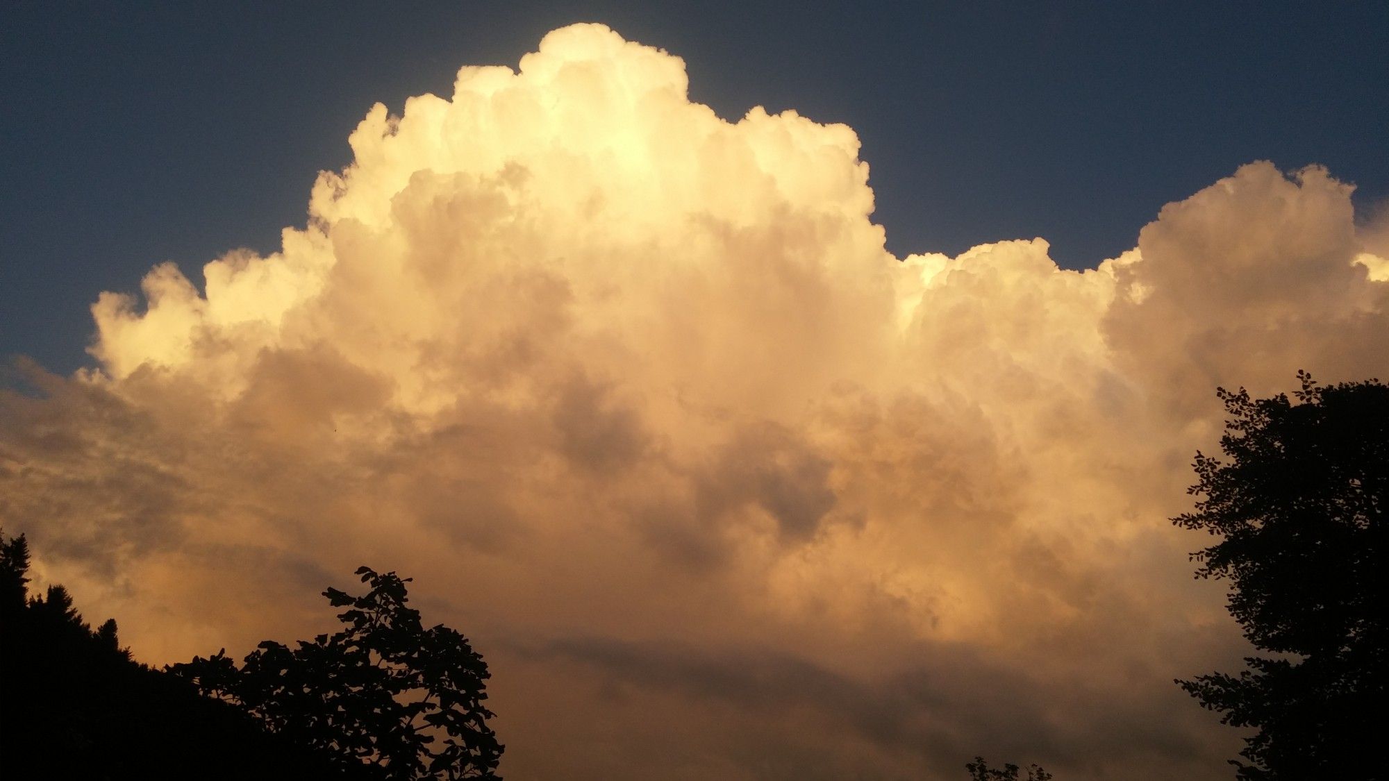 fluffy clouds, bright beige. they look like cotton candy